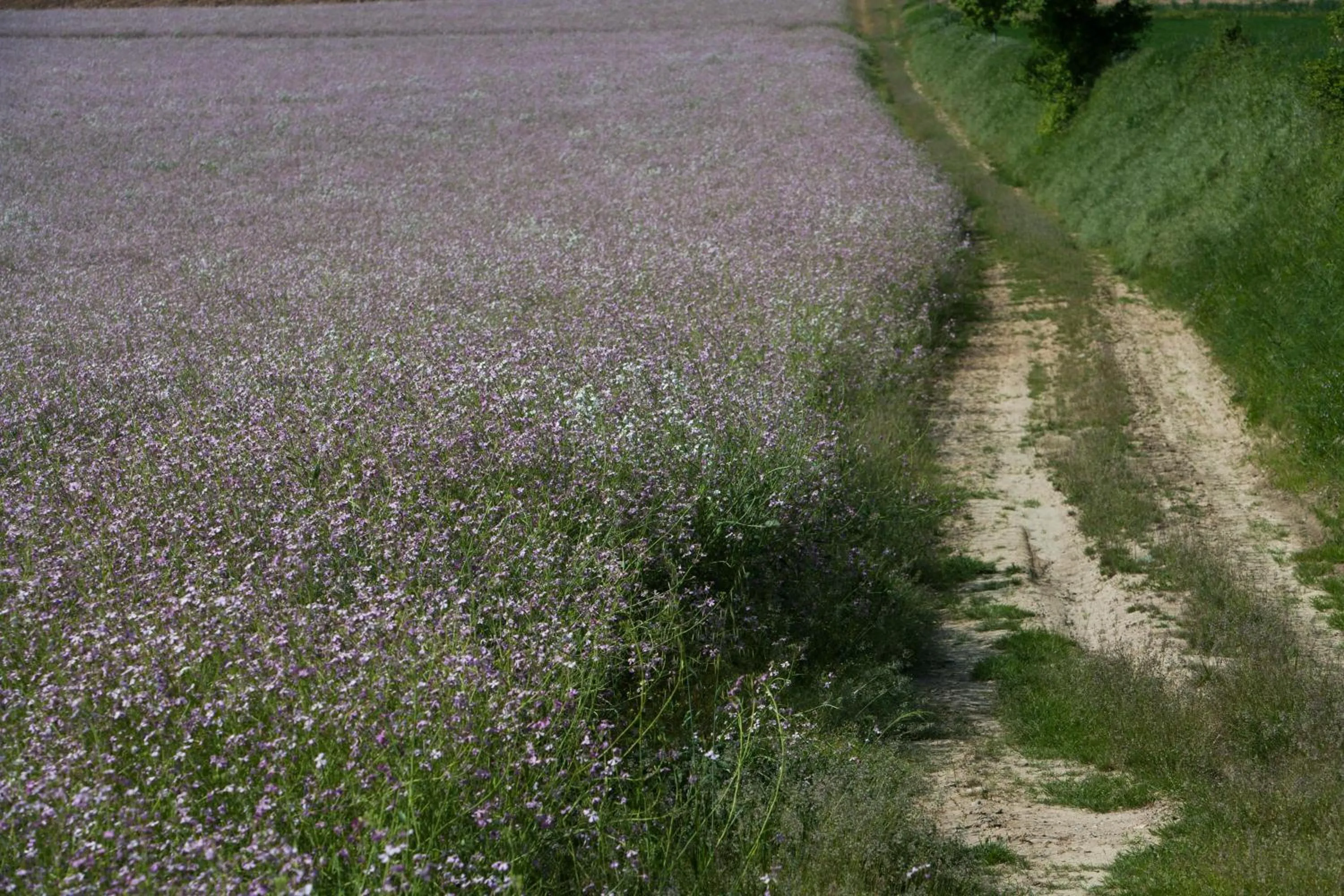 Natural landscape in Hotel Palazzo Brunamonti