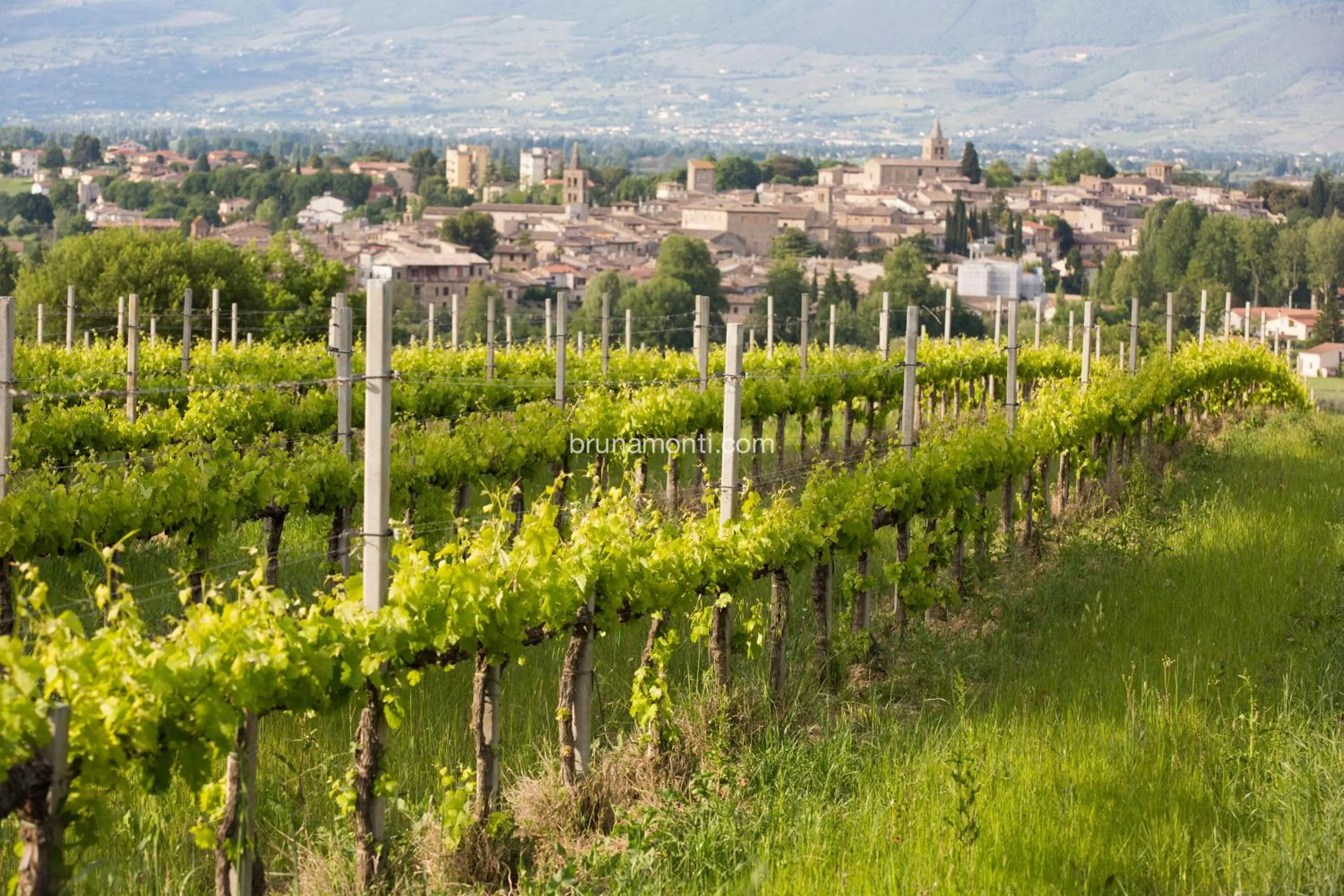 Natural landscape in Hotel Palazzo Brunamonti