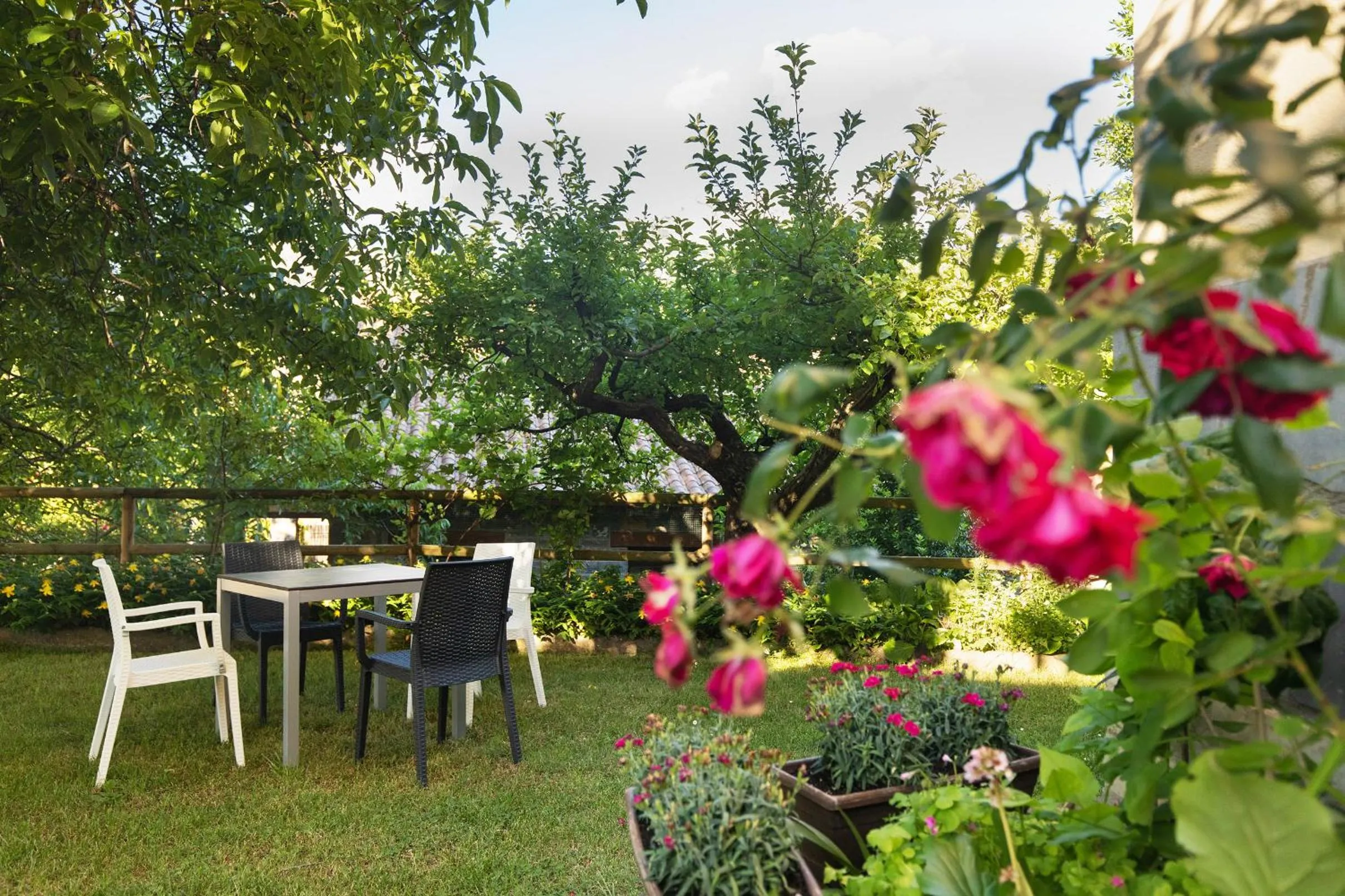 Garden in Hotel Cinca