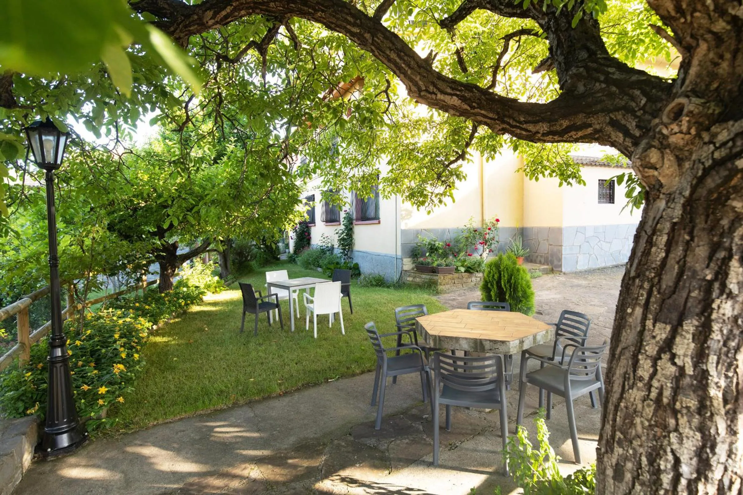 Garden in Hotel Cinca