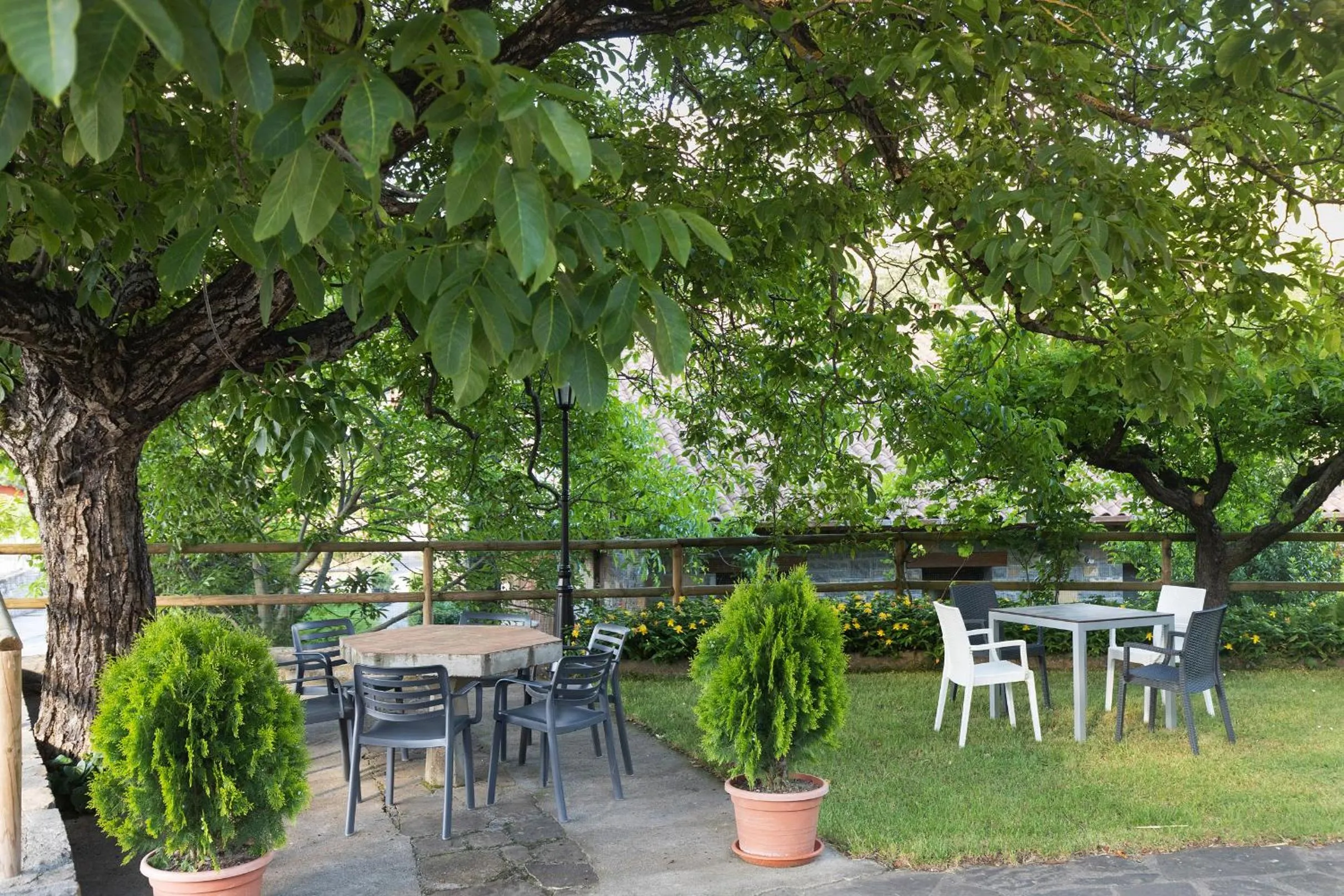 Garden in Hotel Cinca
