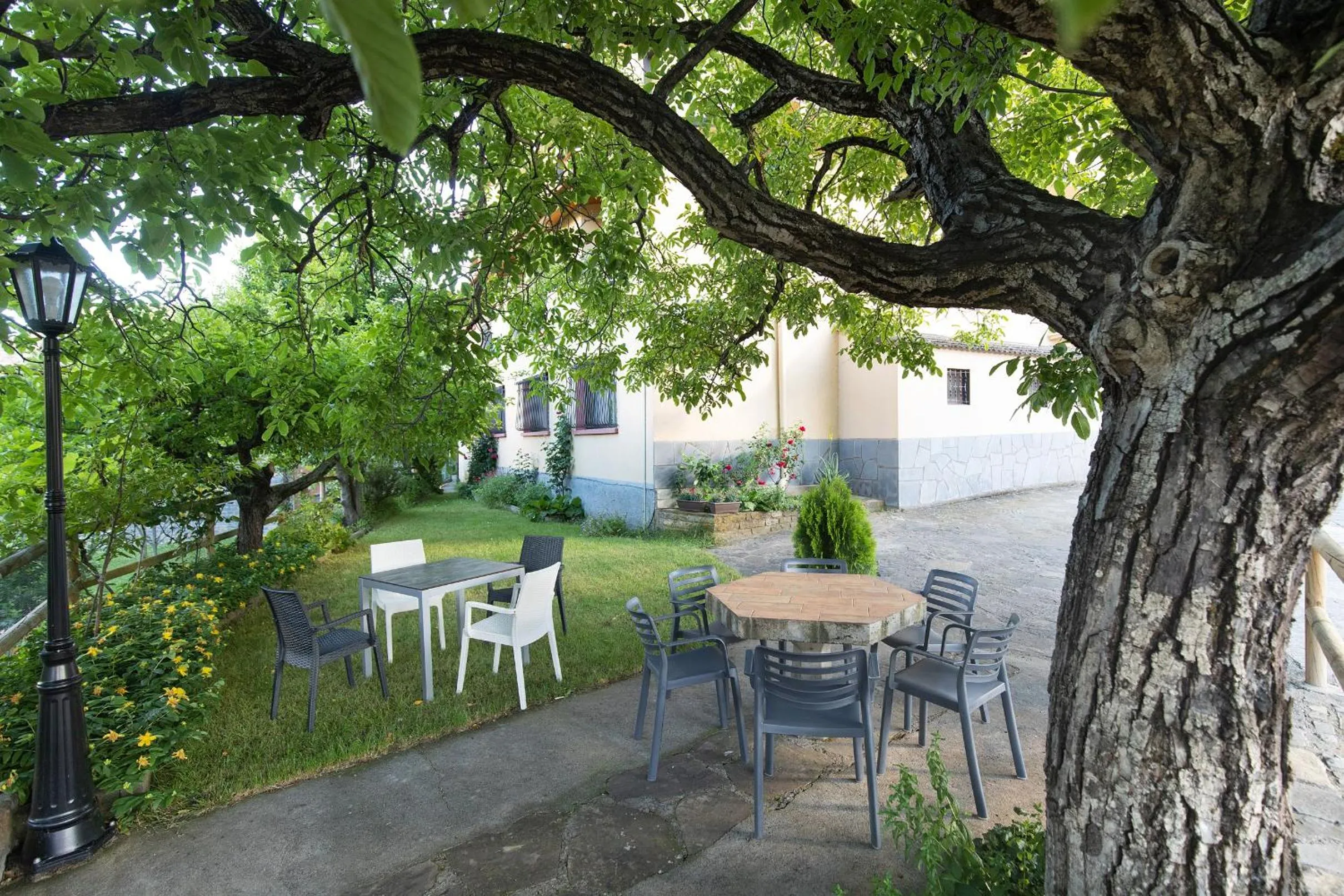 Garden in Hotel Cinca