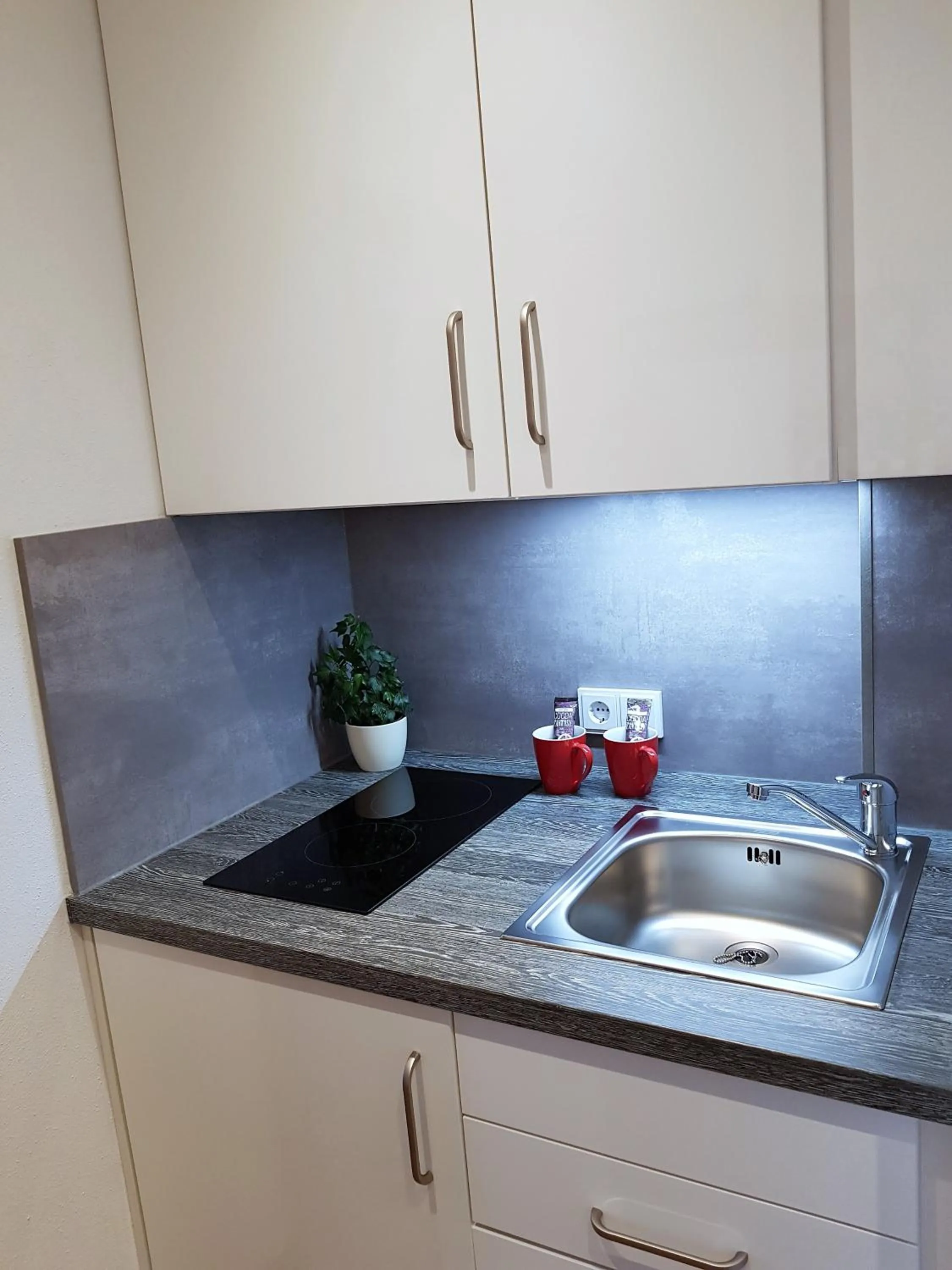 Kitchen or kitchenette in Apparthotel Garni Superior Simsseeblick