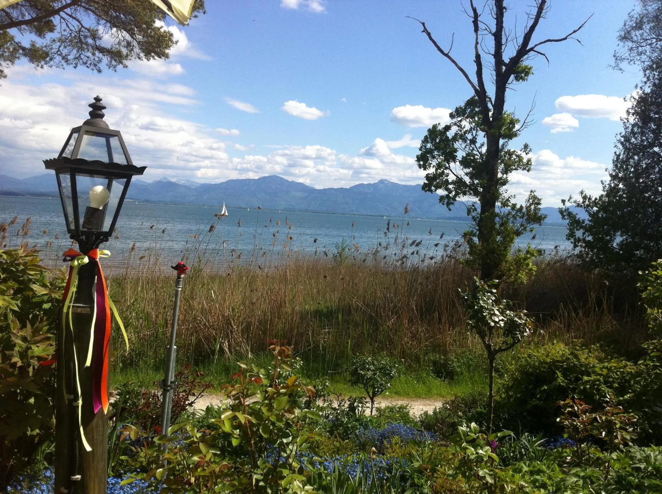 Area and facilities in Apparthotel Garni Superior Simsseeblick