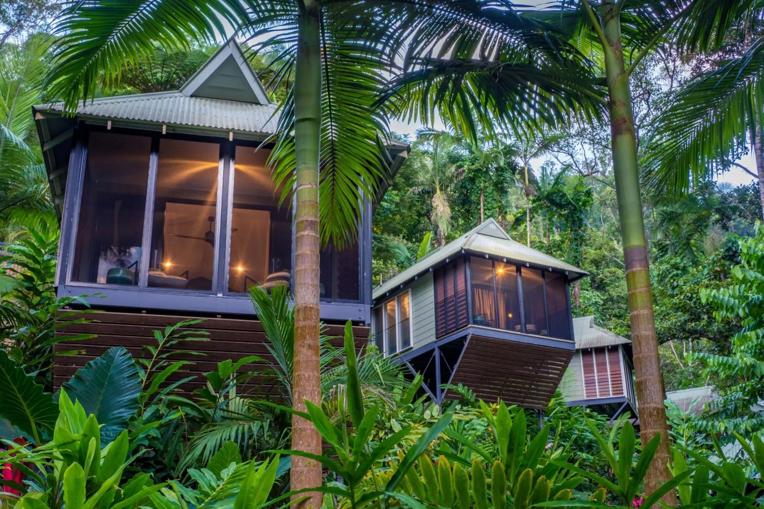 Property building in Daintree Ecolodge