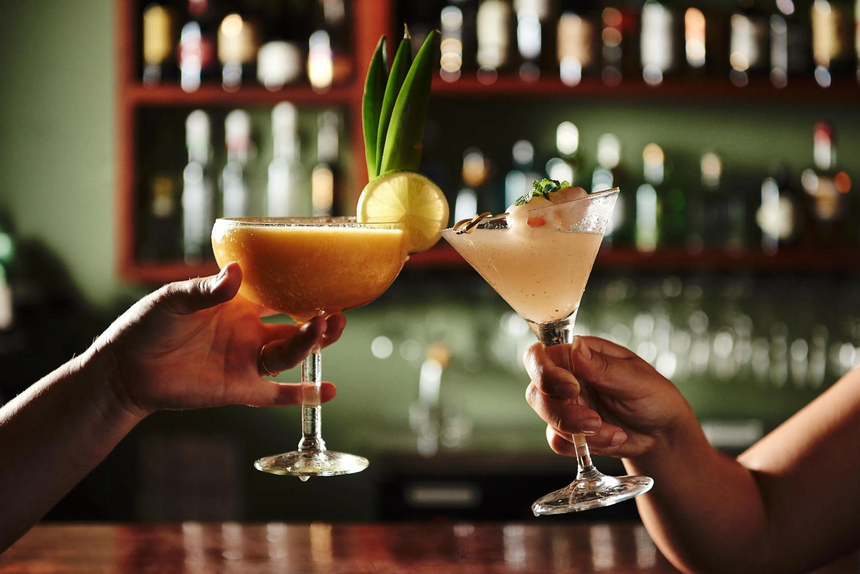 Lounge or bar in Daintree Ecolodge