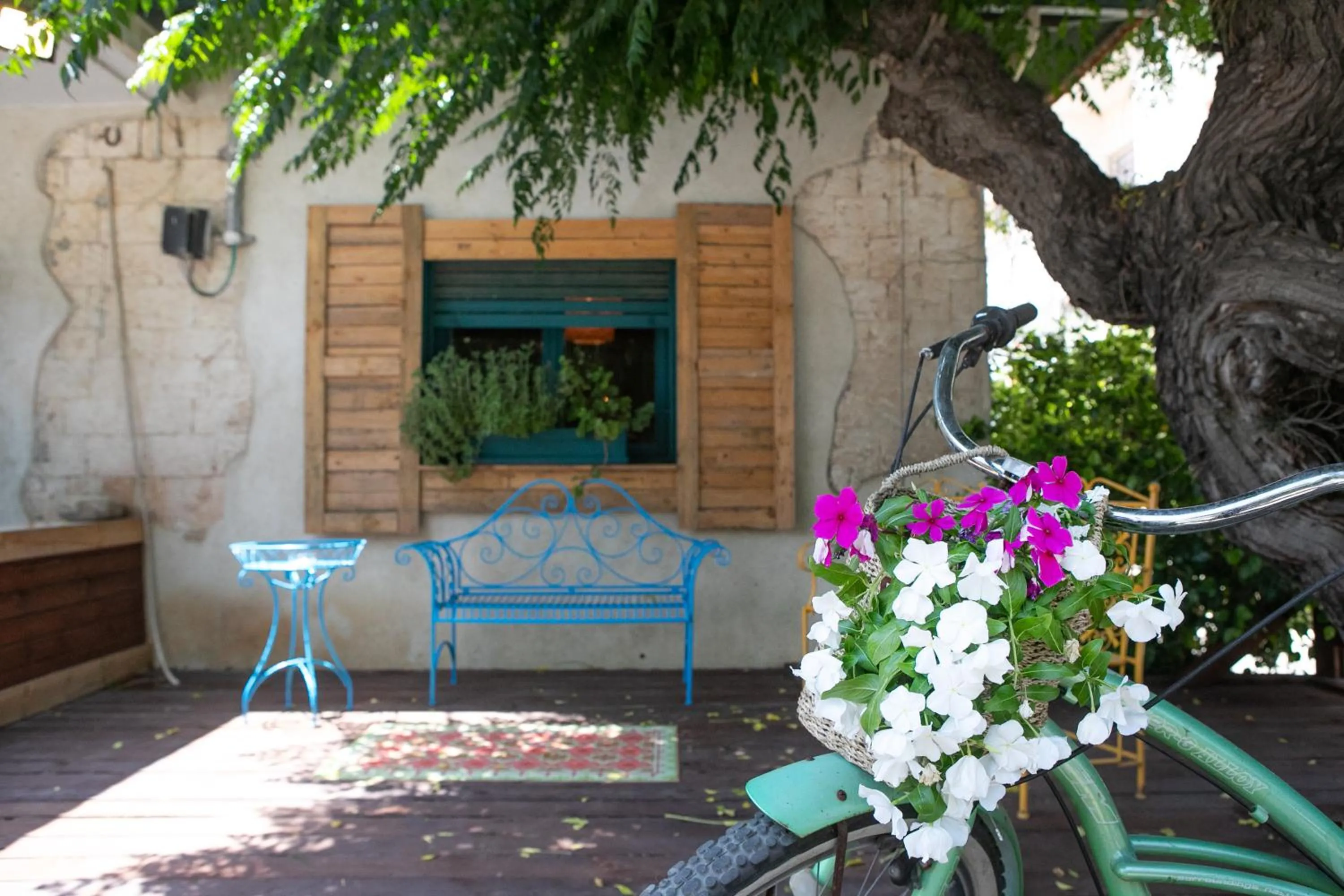 Patio in Zimeroni