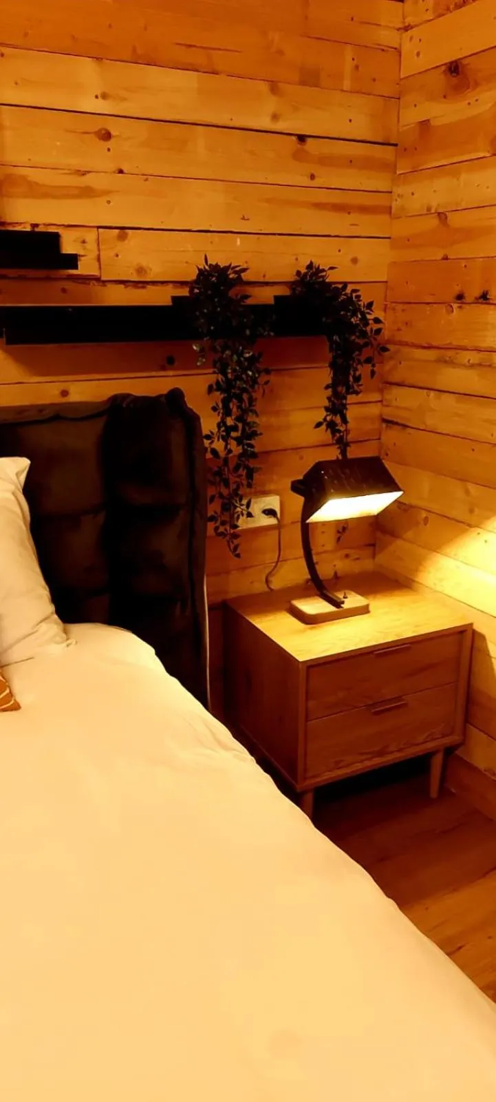 Bed in Zimeroni