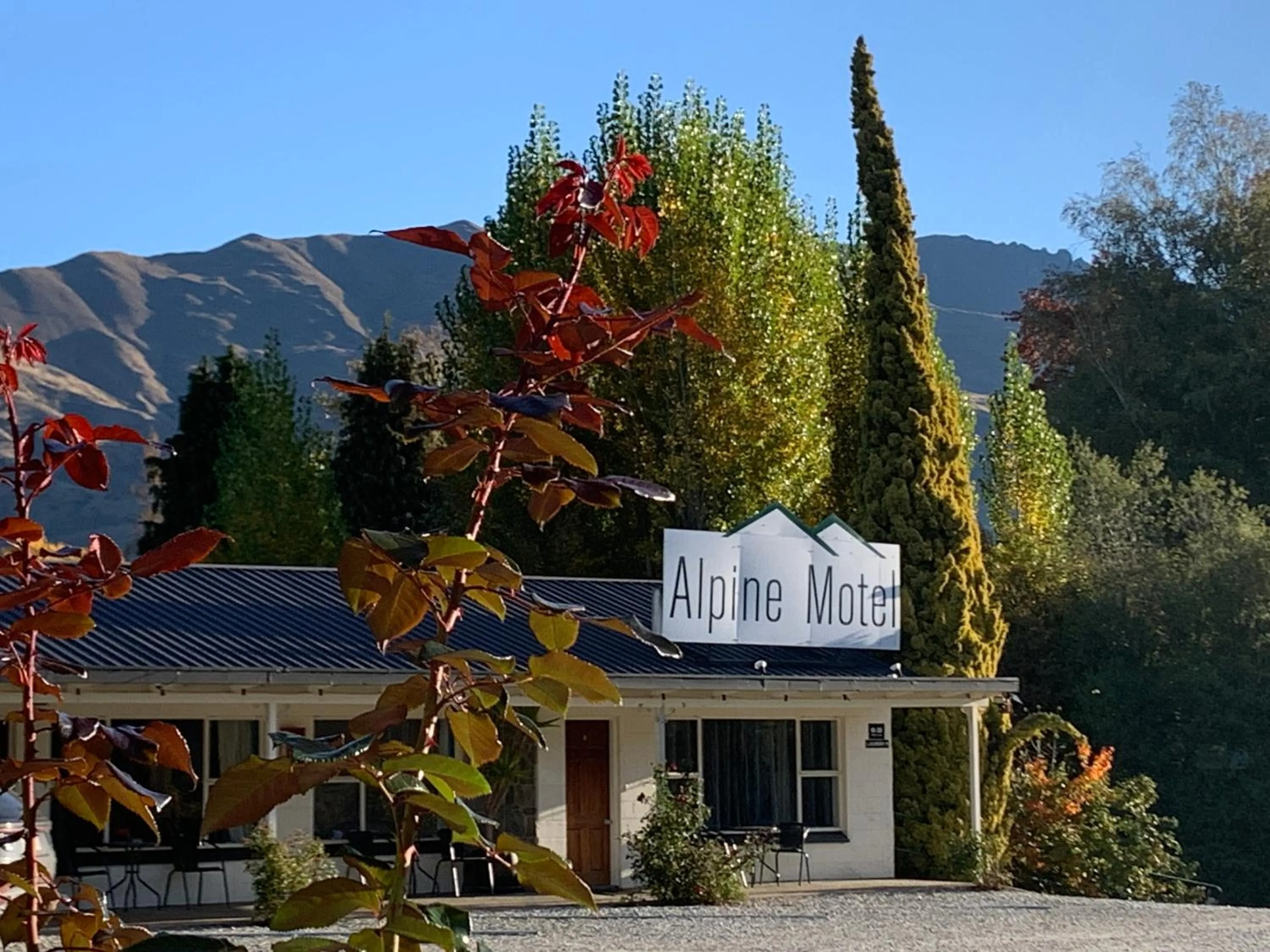 View (from property/room) in Alpine Motel