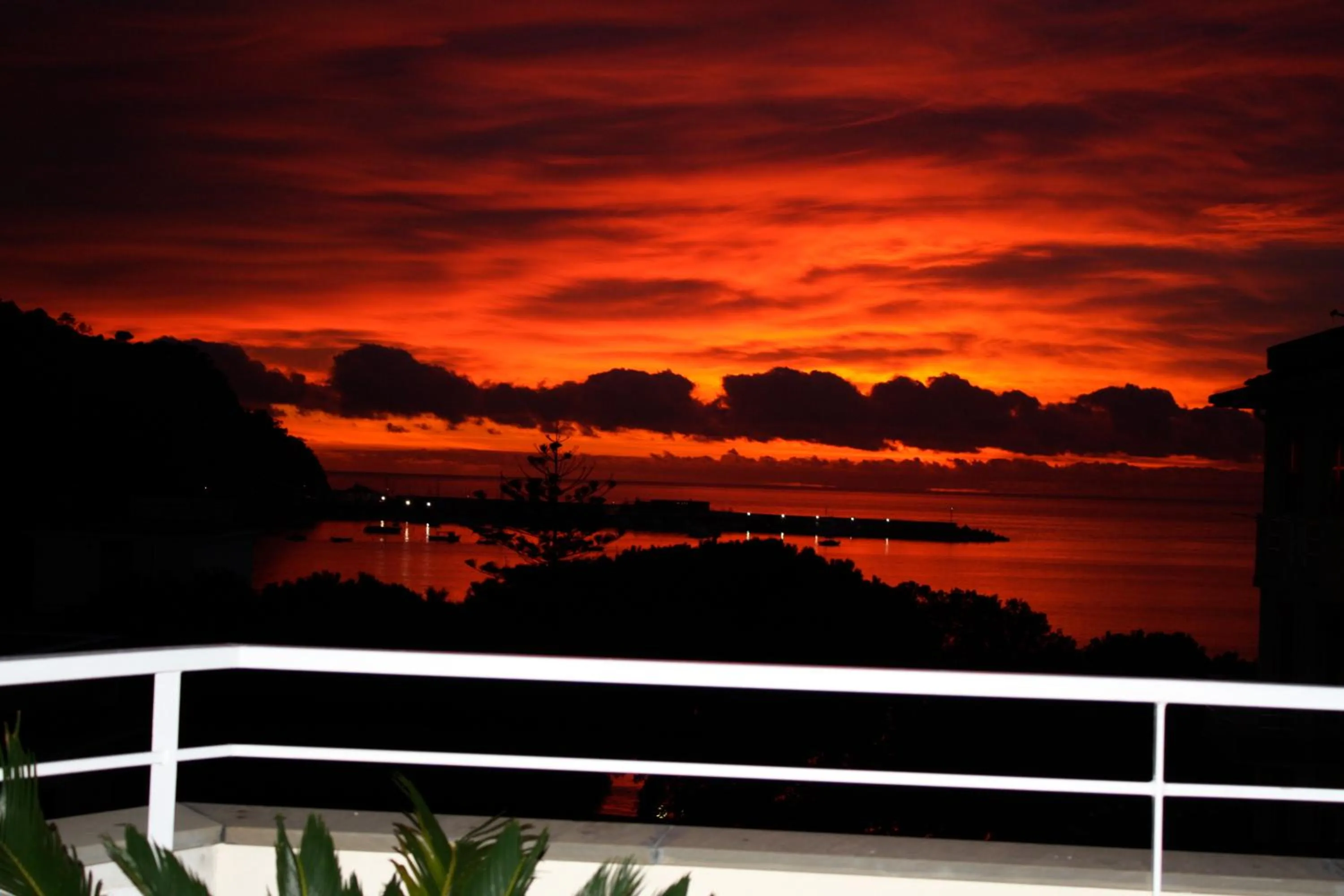 Balcony/Terrace in Hotel Genova