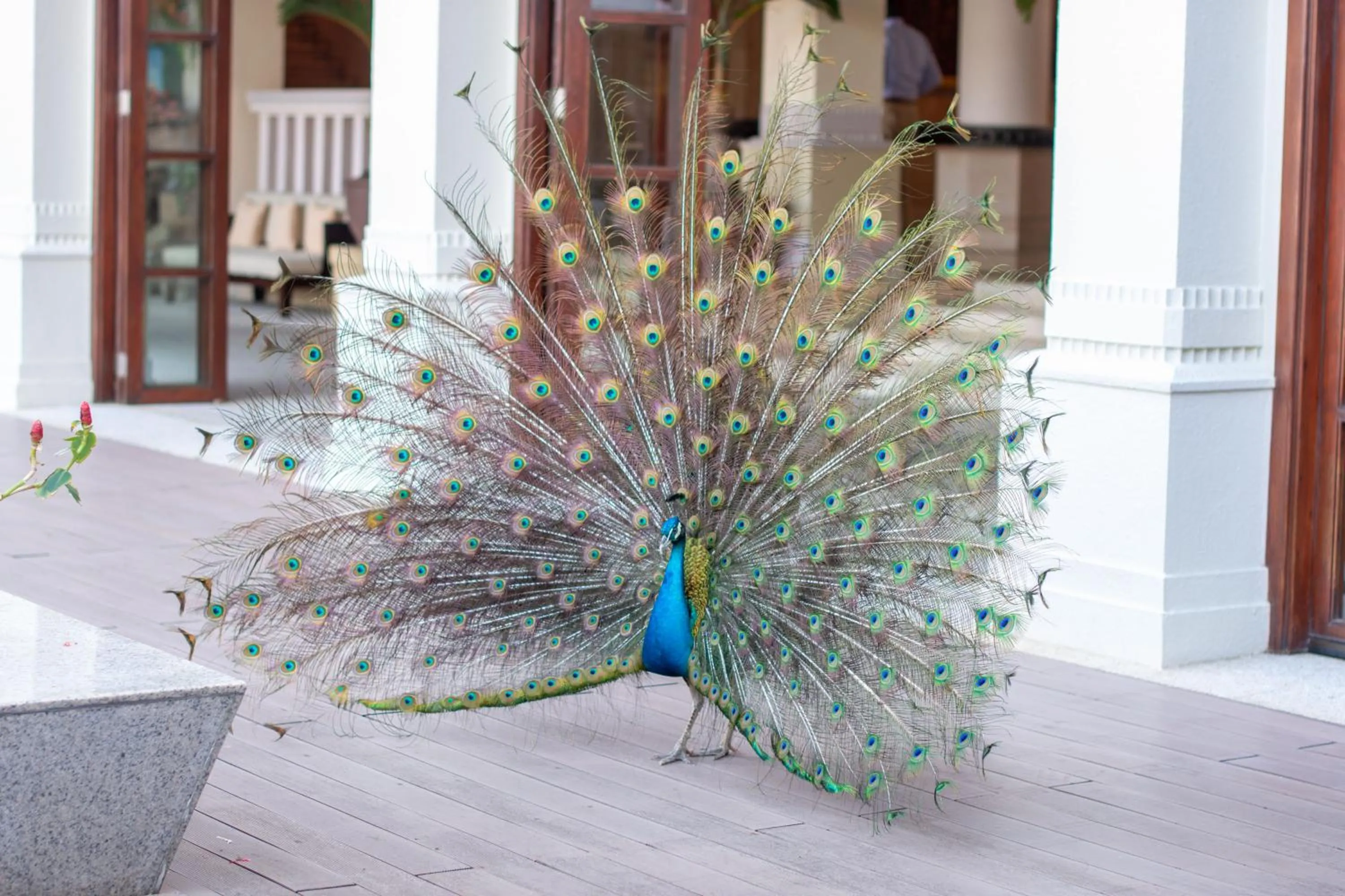 Activities in Furama Resort Danang