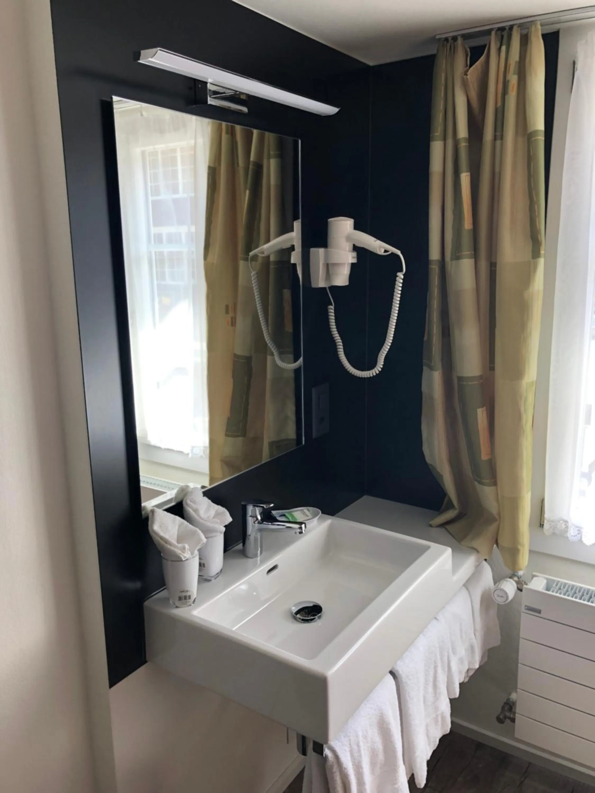 Photo of the whole room in Hotel Steinbock