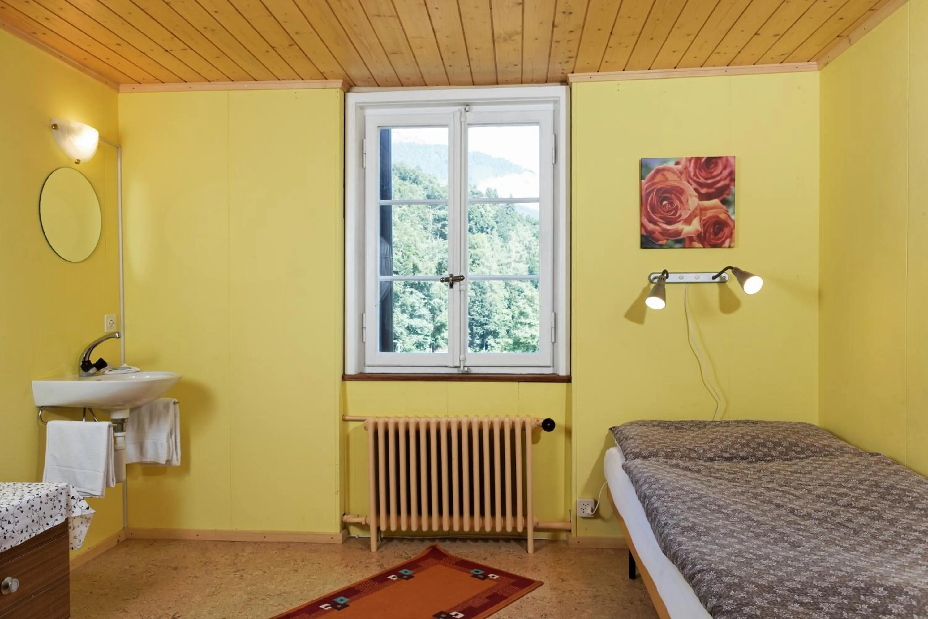 Budget Single Room with Shared Bathroom in Hotel Steinbock