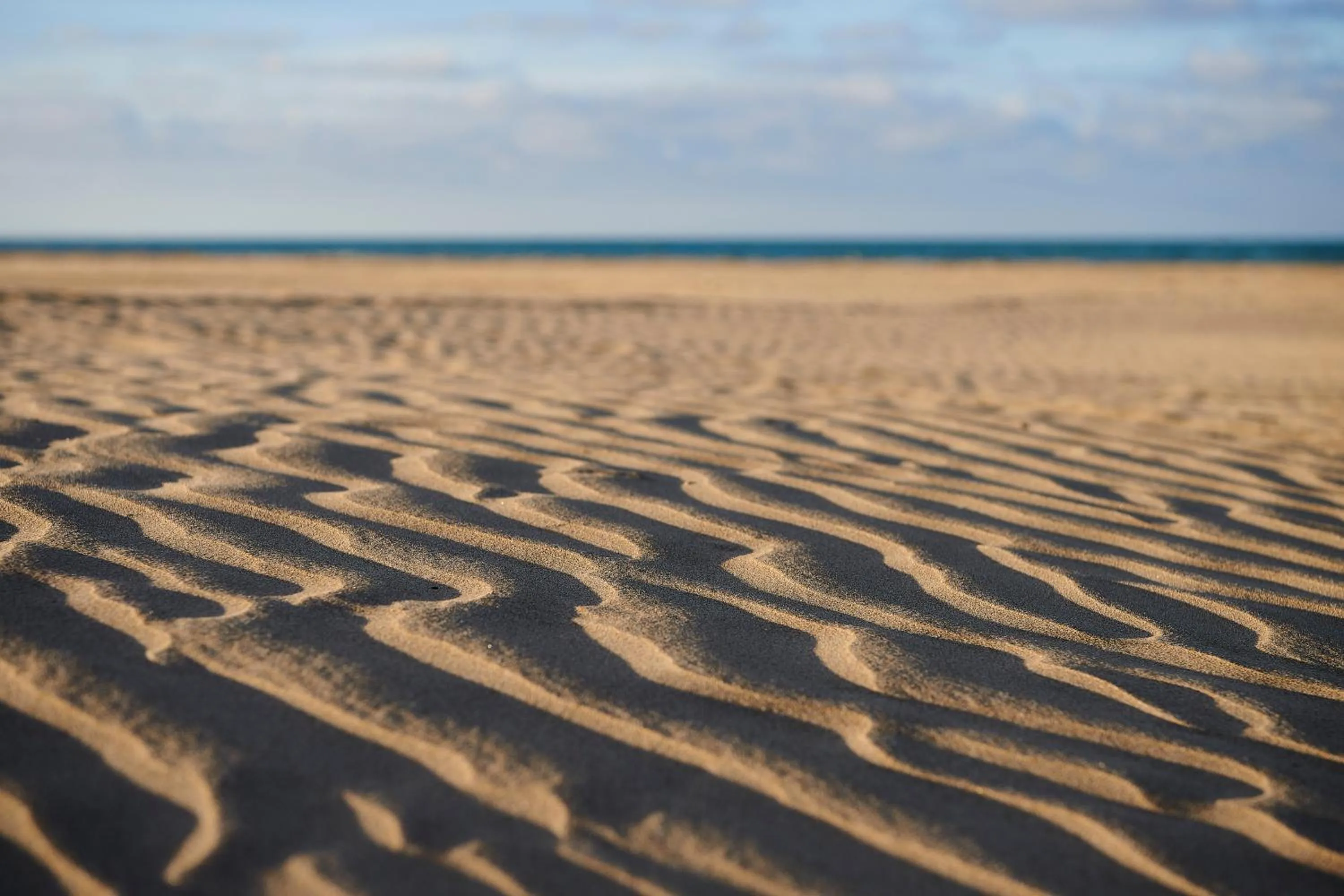 Beach in Iberostar Waves Saidia