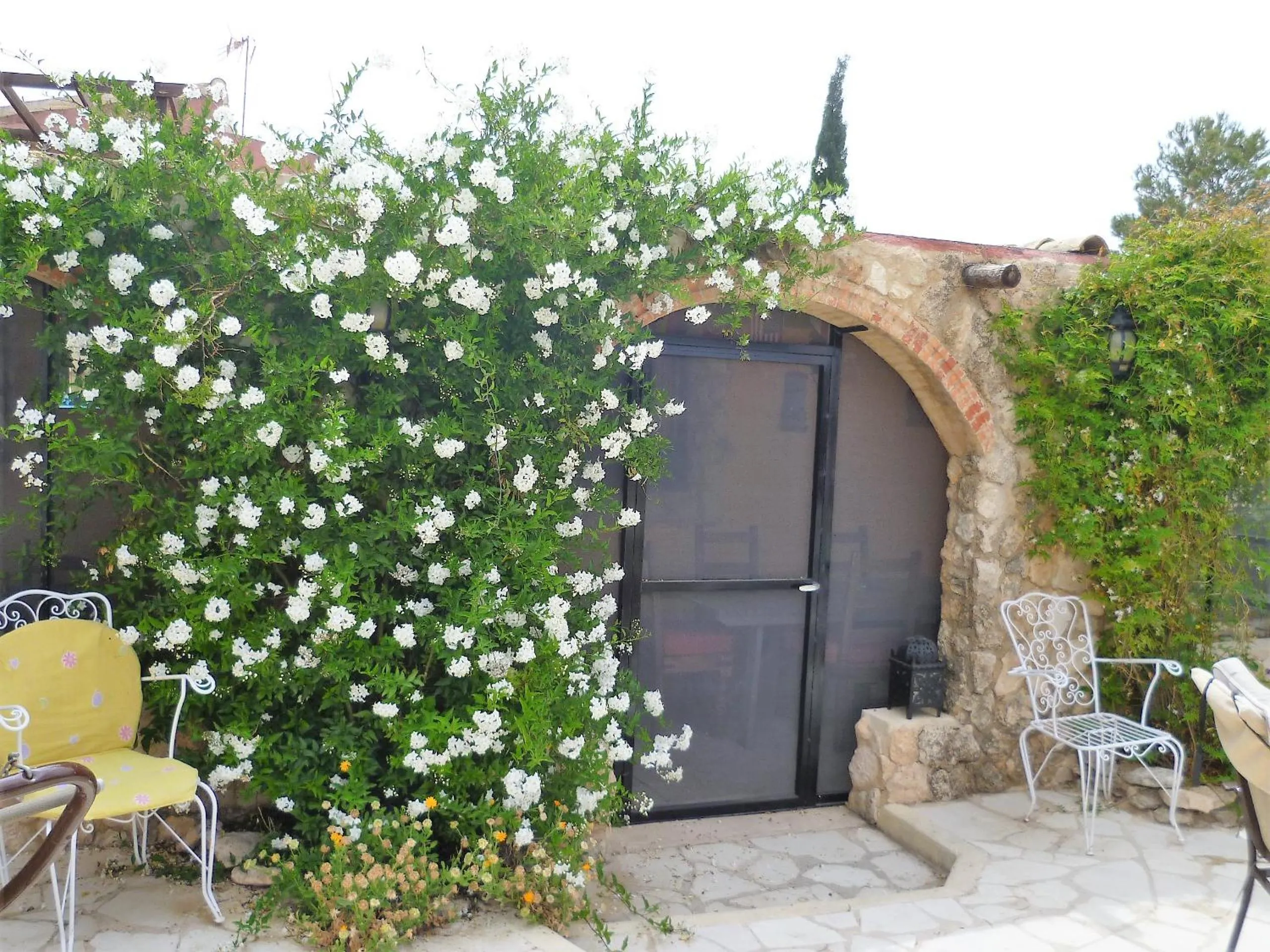 Property building in Casa Rural Ubeda - B&B - Pinoso-Alicante