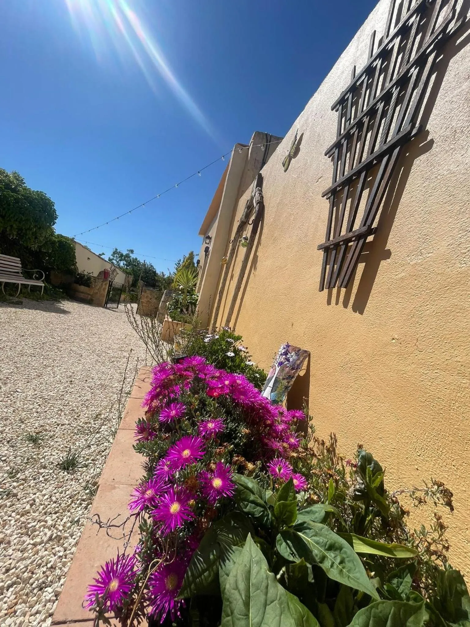 Garden in Casa Rural Ubeda - B&B - Pinoso-Alicante