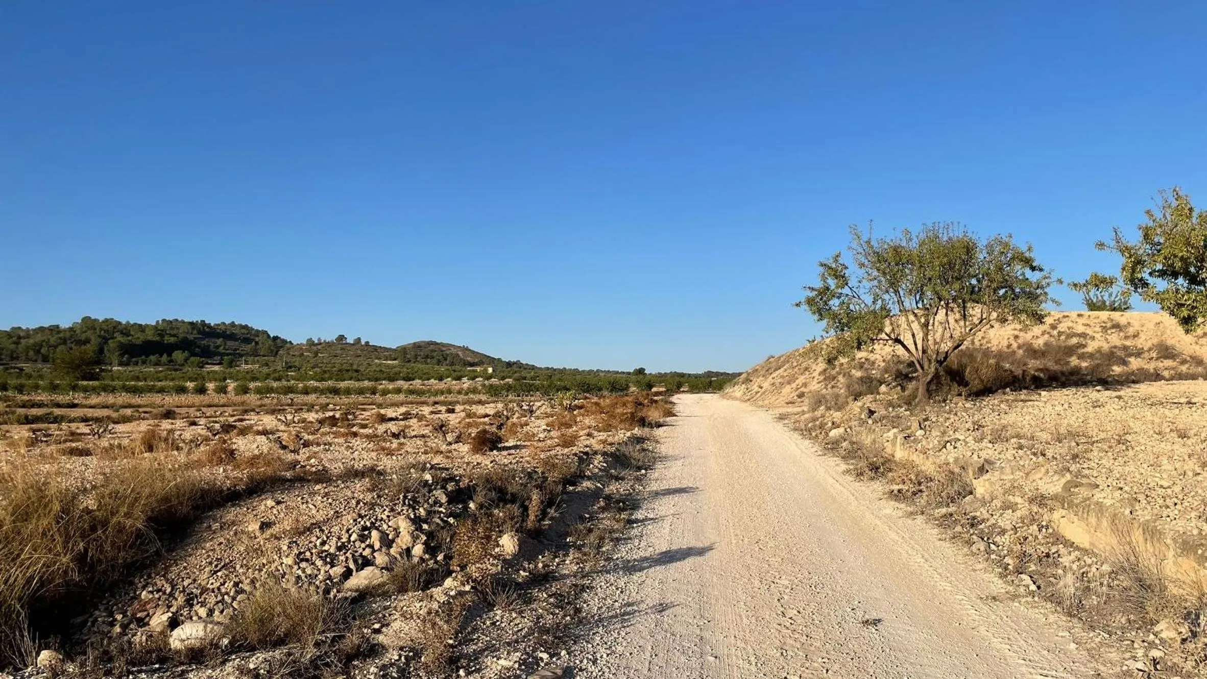 View (from property/room) in Casa Rural Ubeda - B&B - Pinoso-Alicante