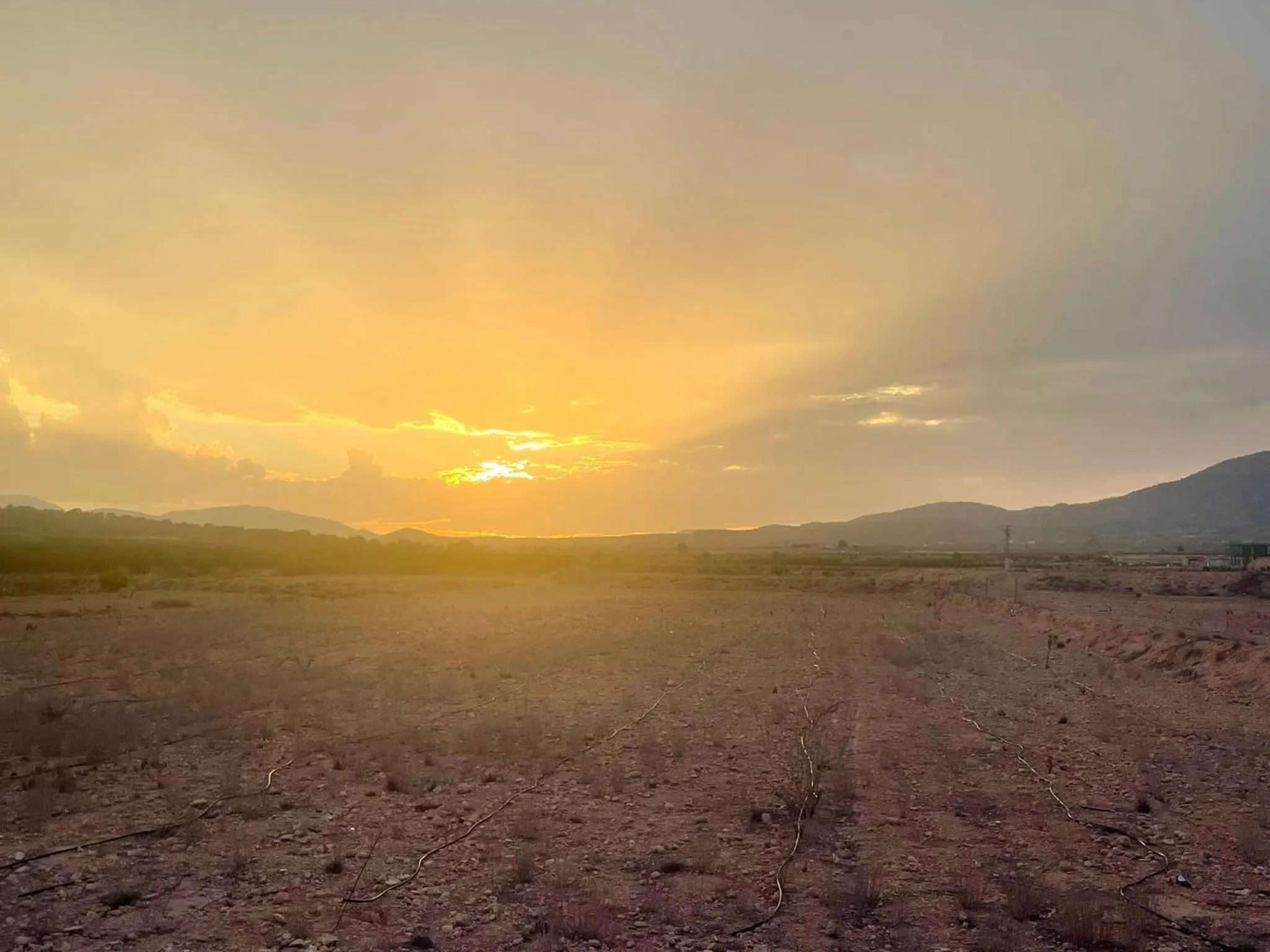 View (from property/room) in Casa Rural Ubeda - B&B - Pinoso-Alicante