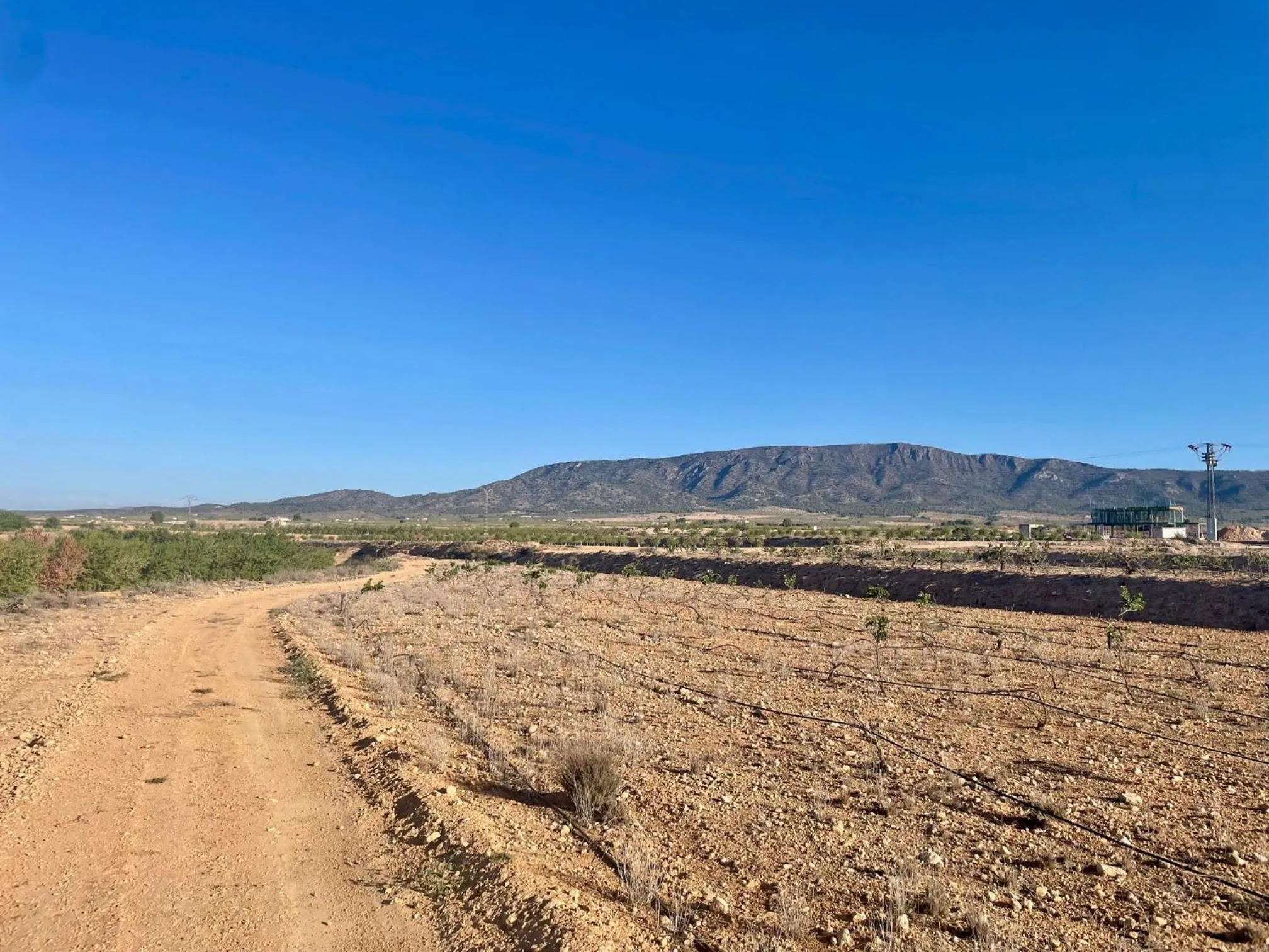 Landmark view in Casa Rural Ubeda - B&B - Pinoso-Alicante