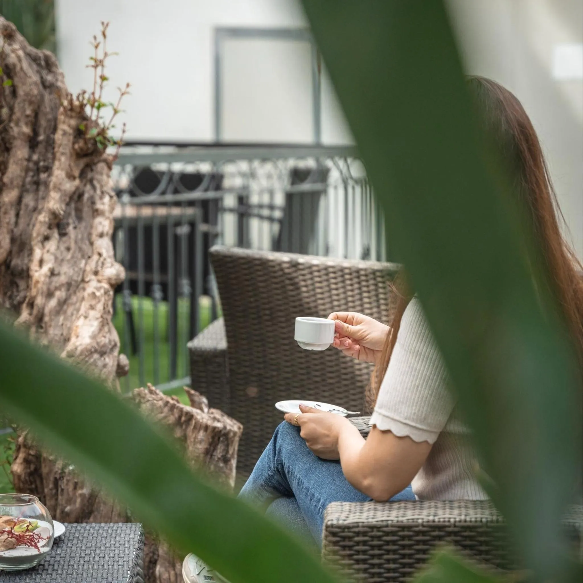 Garden in Hotel Domomea