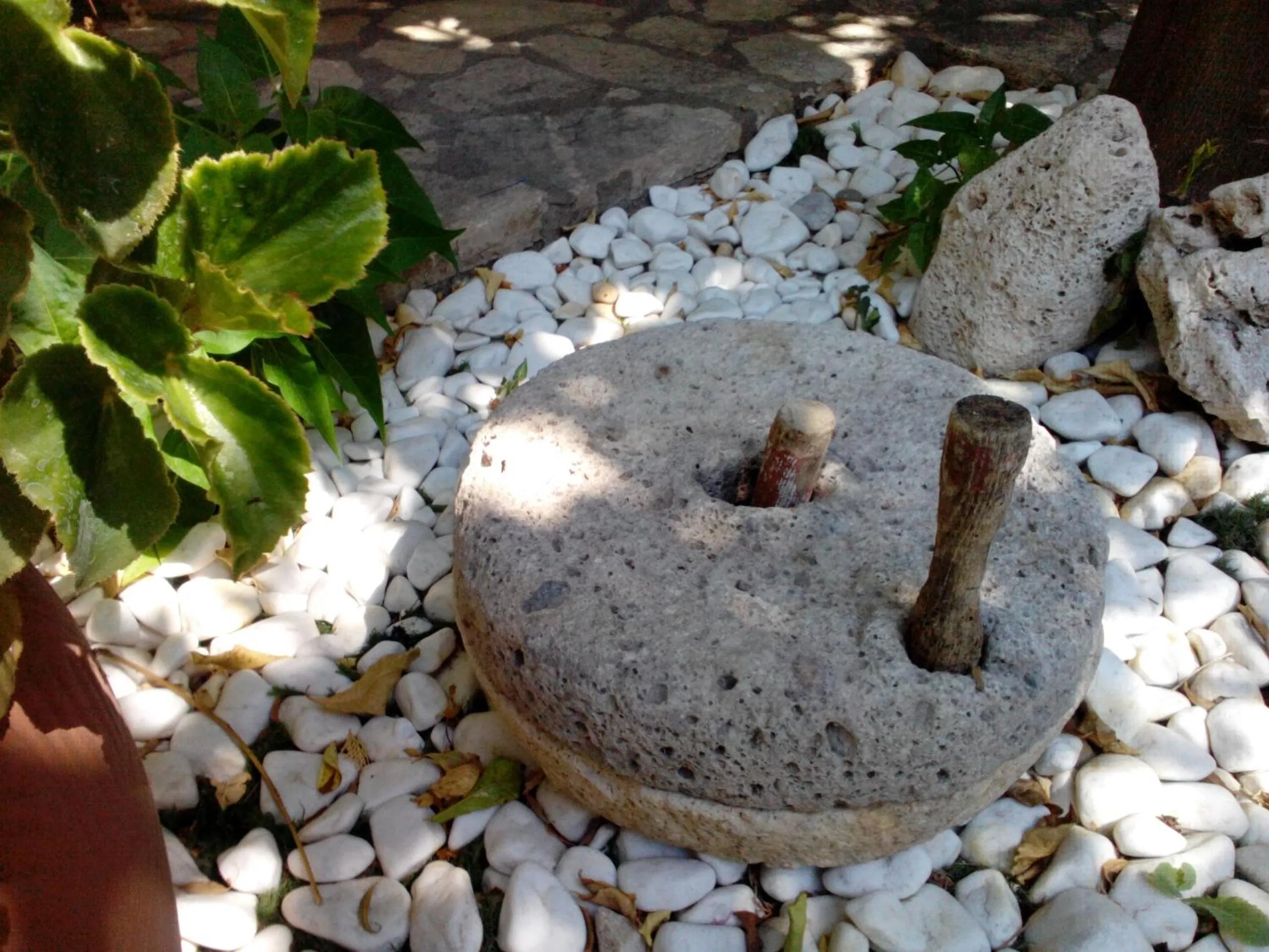 Garden in Pegasus Hotel