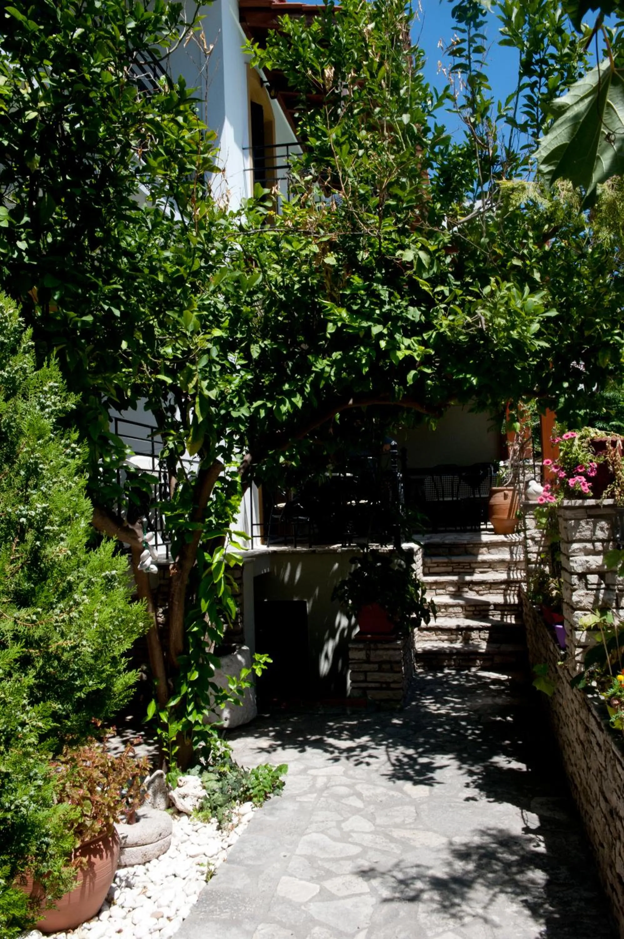 Garden in Pegasus Hotel