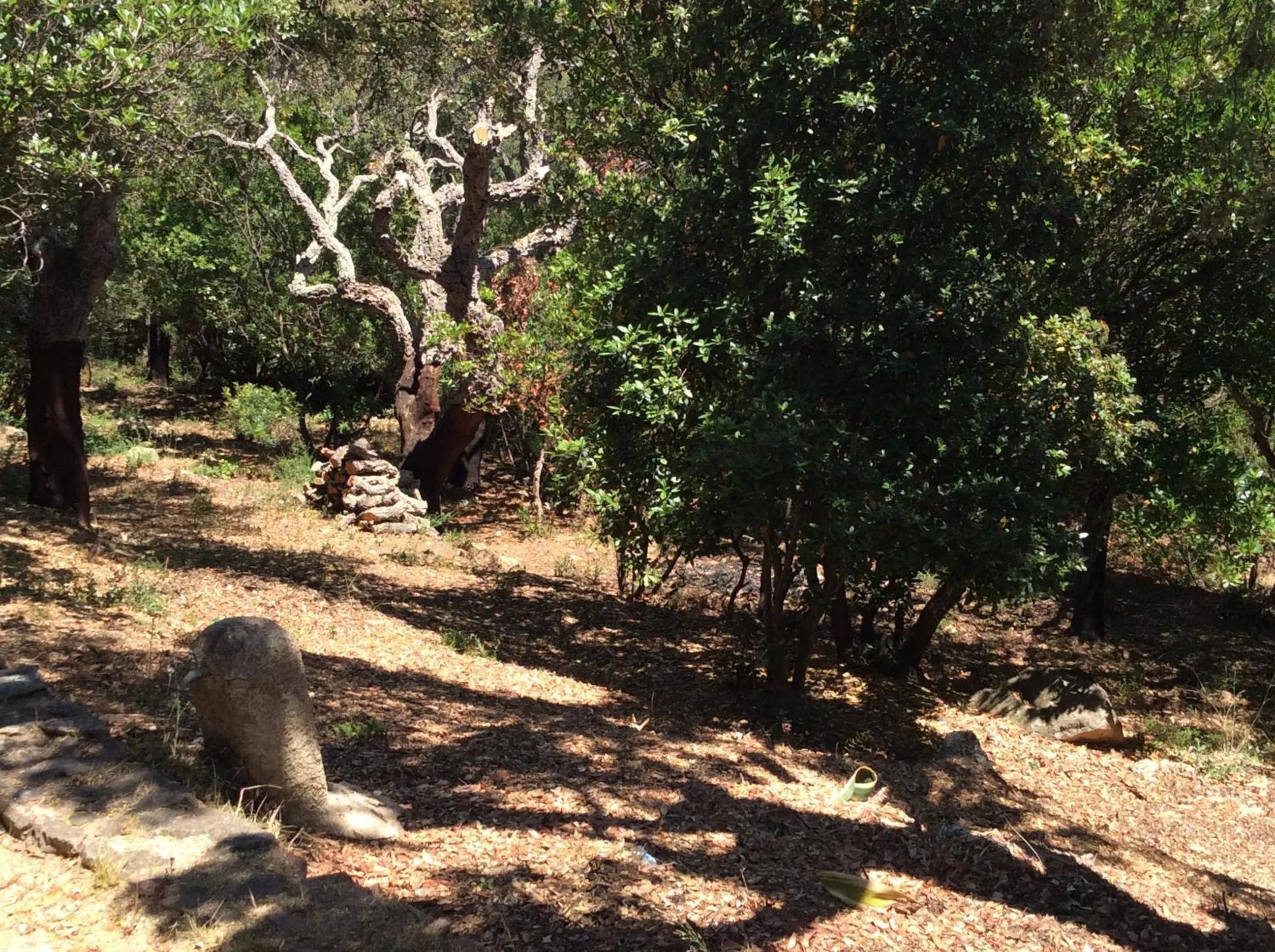 Garden view in Hotel Les Hauts de Porto-Vecchio