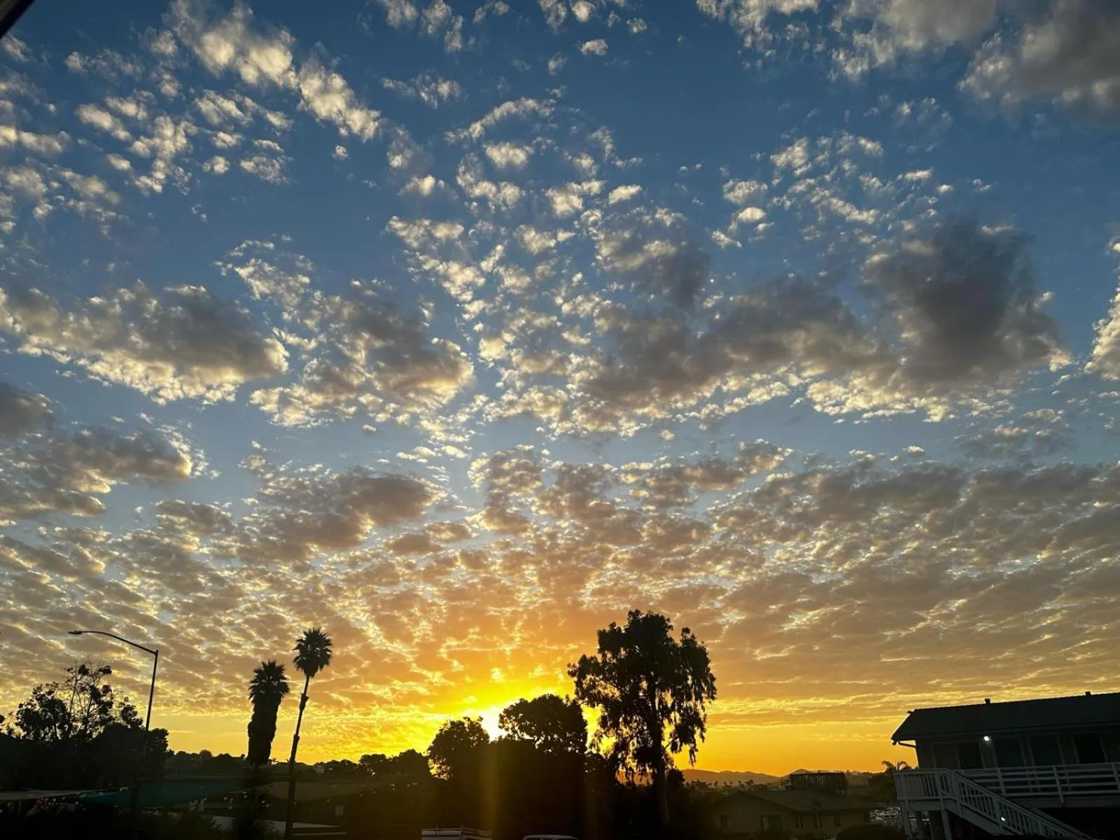 Day in Ocean Palms Motel