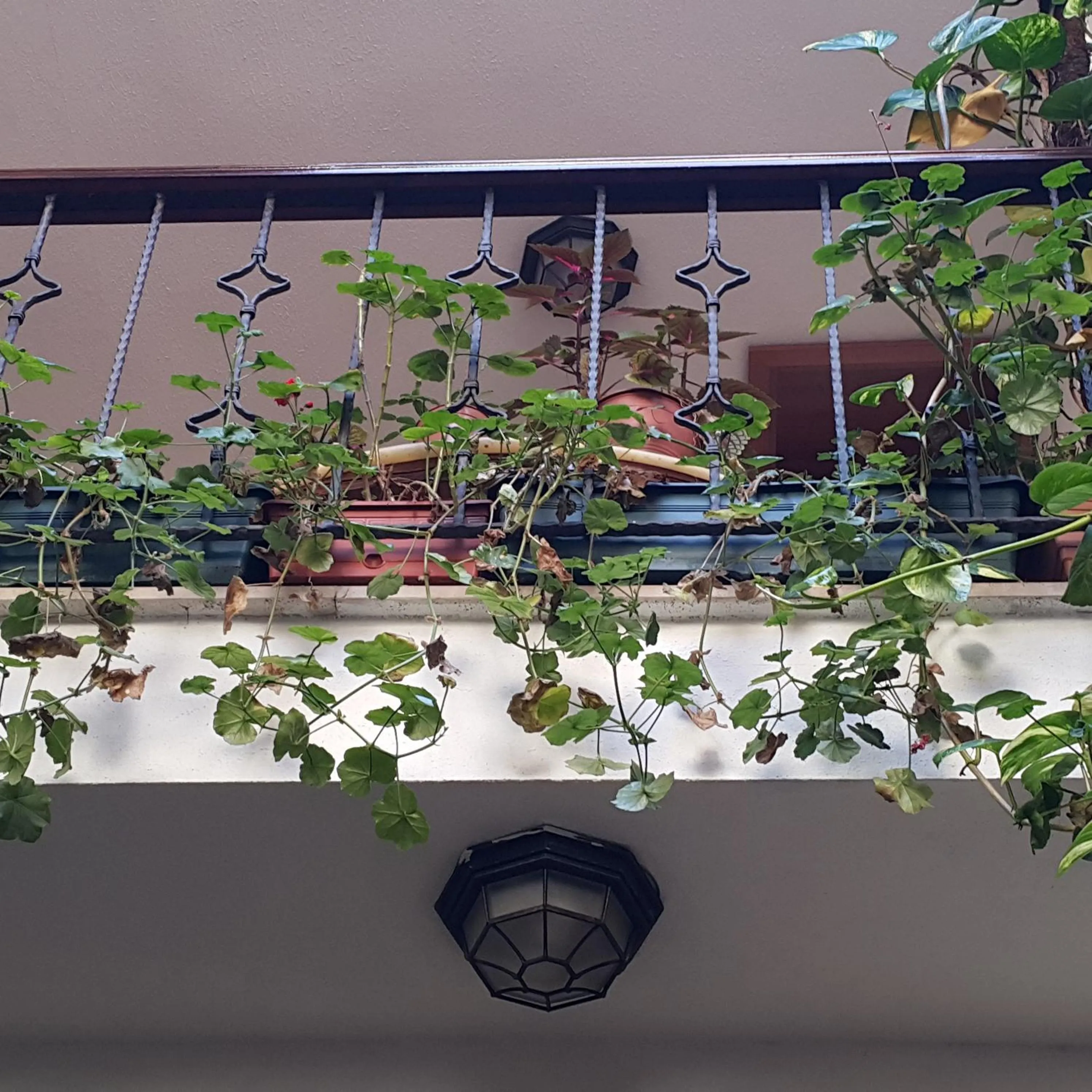 Villa Sphendone Suites Istanbul