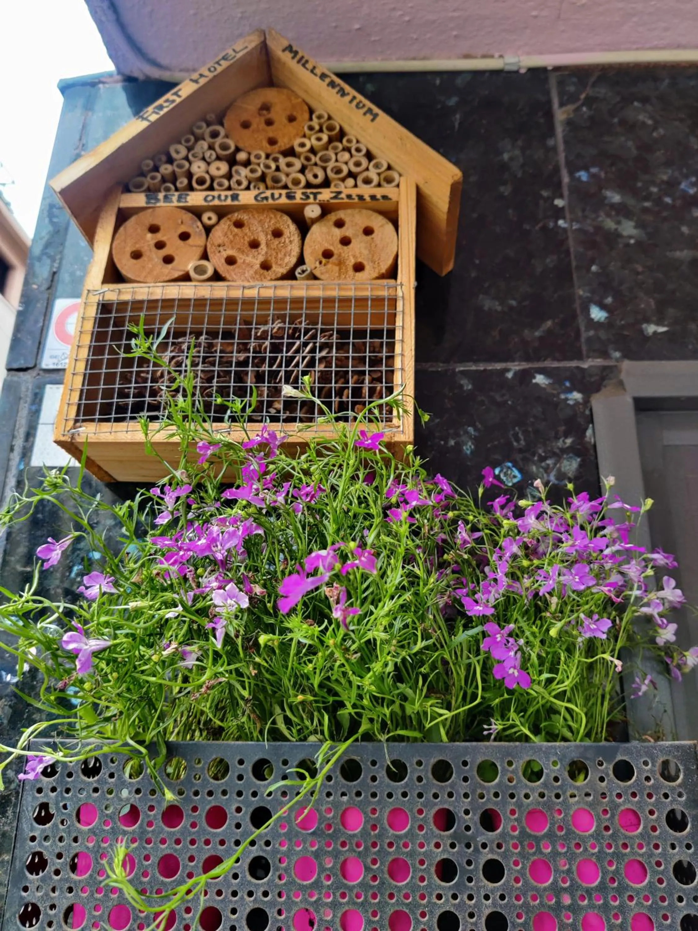 Spring in First Hotel Millennium