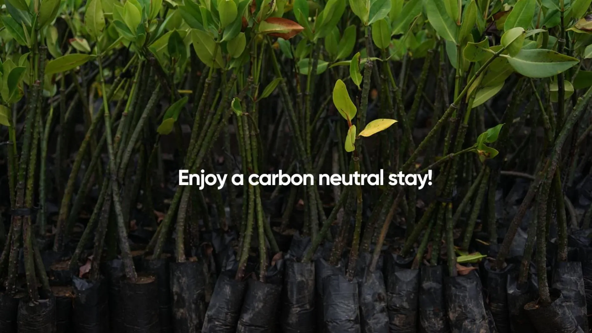 Property building in First Hotel Millennium