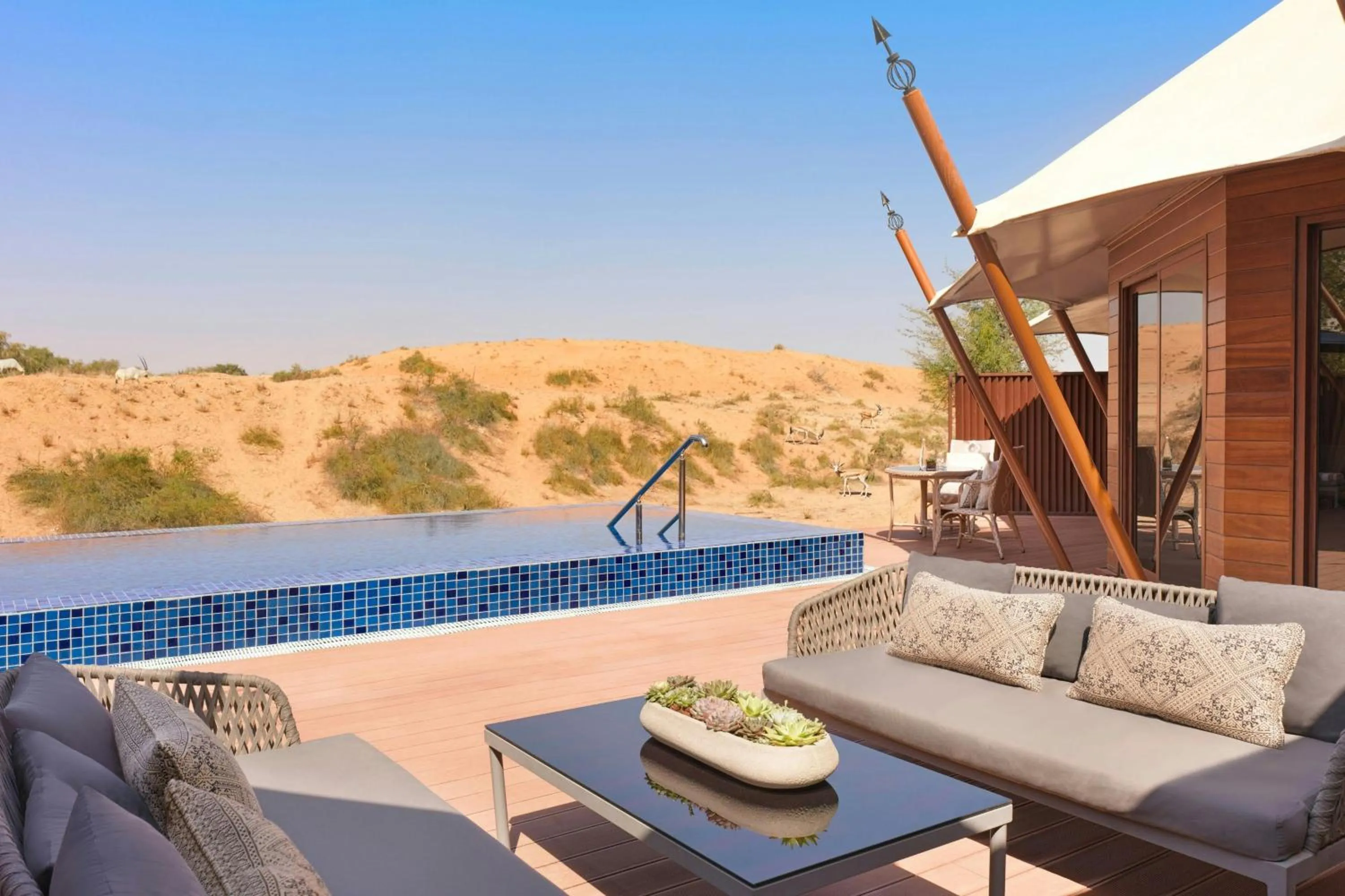 Swimming pool in The Ritz-Carlton Ras Al Khaimah, Al Wadi Desert