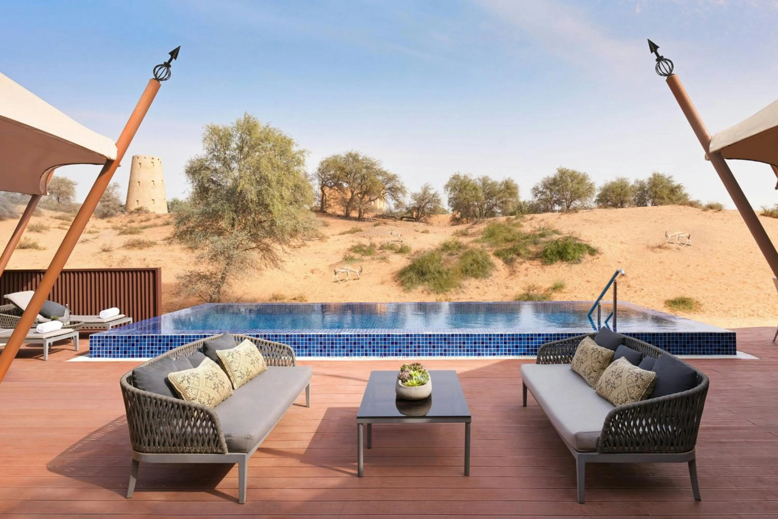 Swimming pool in The Ritz-Carlton Ras Al Khaimah, Al Wadi Desert