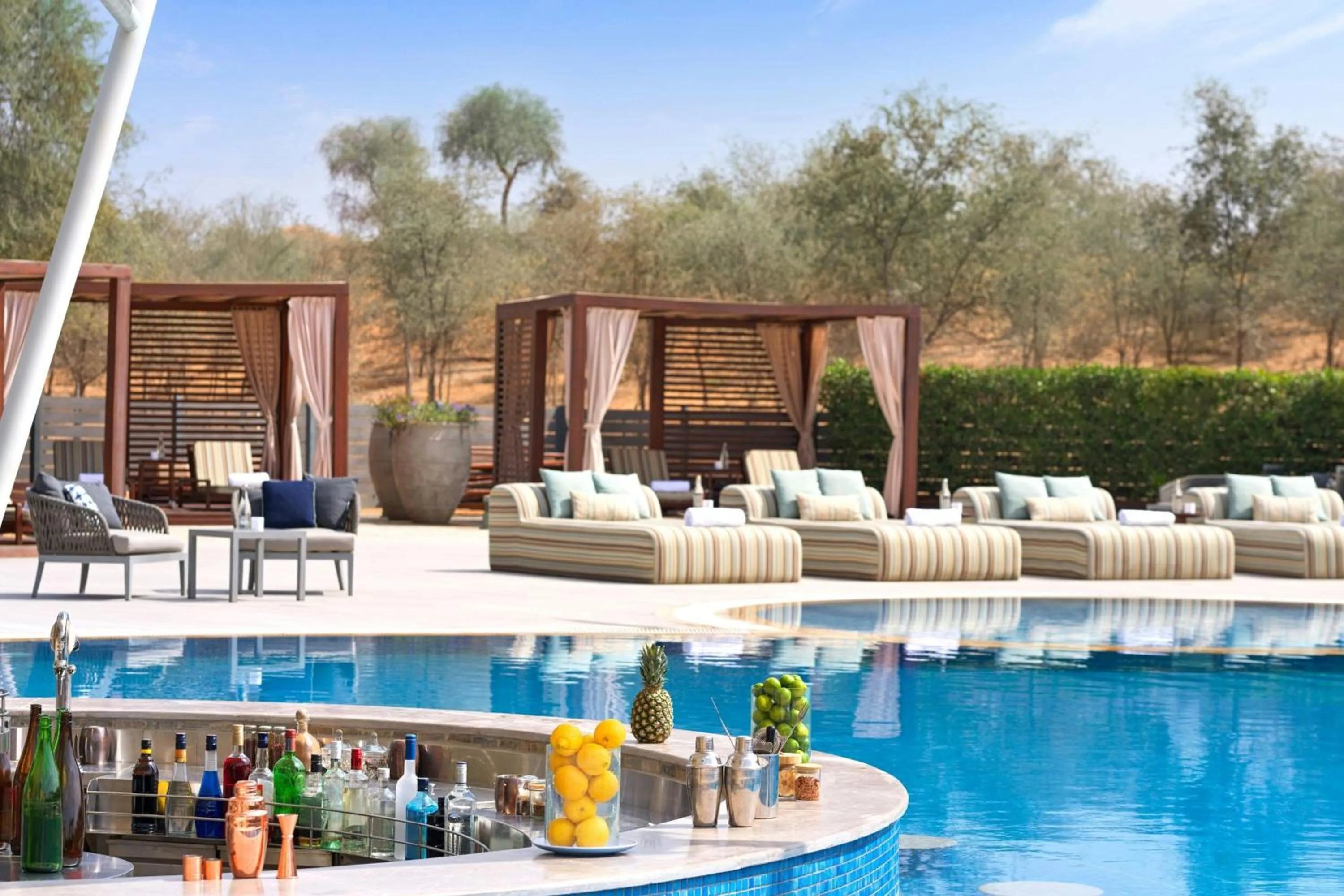 Swimming pool in The Ritz-Carlton Ras Al Khaimah, Al Wadi Desert