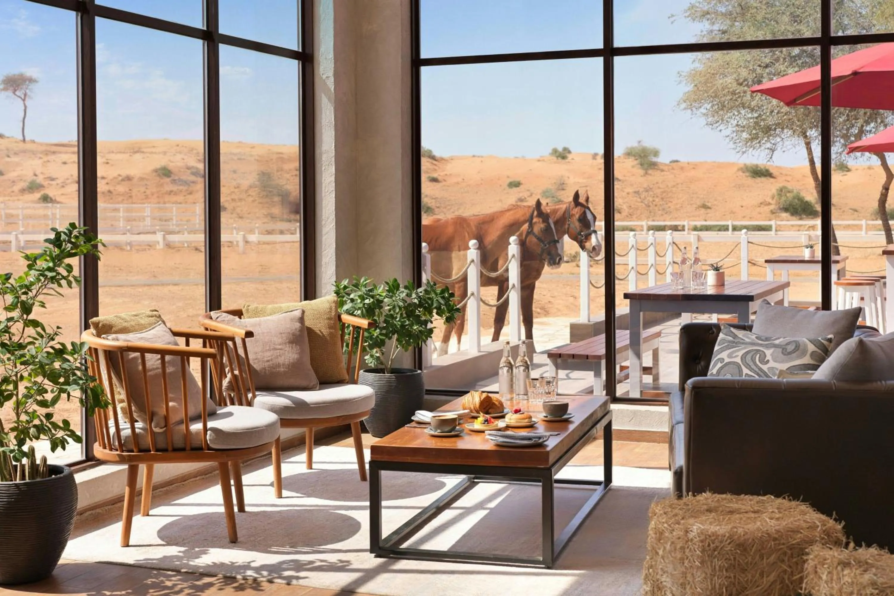 Restaurant/places to eat in The Ritz-Carlton Ras Al Khaimah, Al Wadi Desert