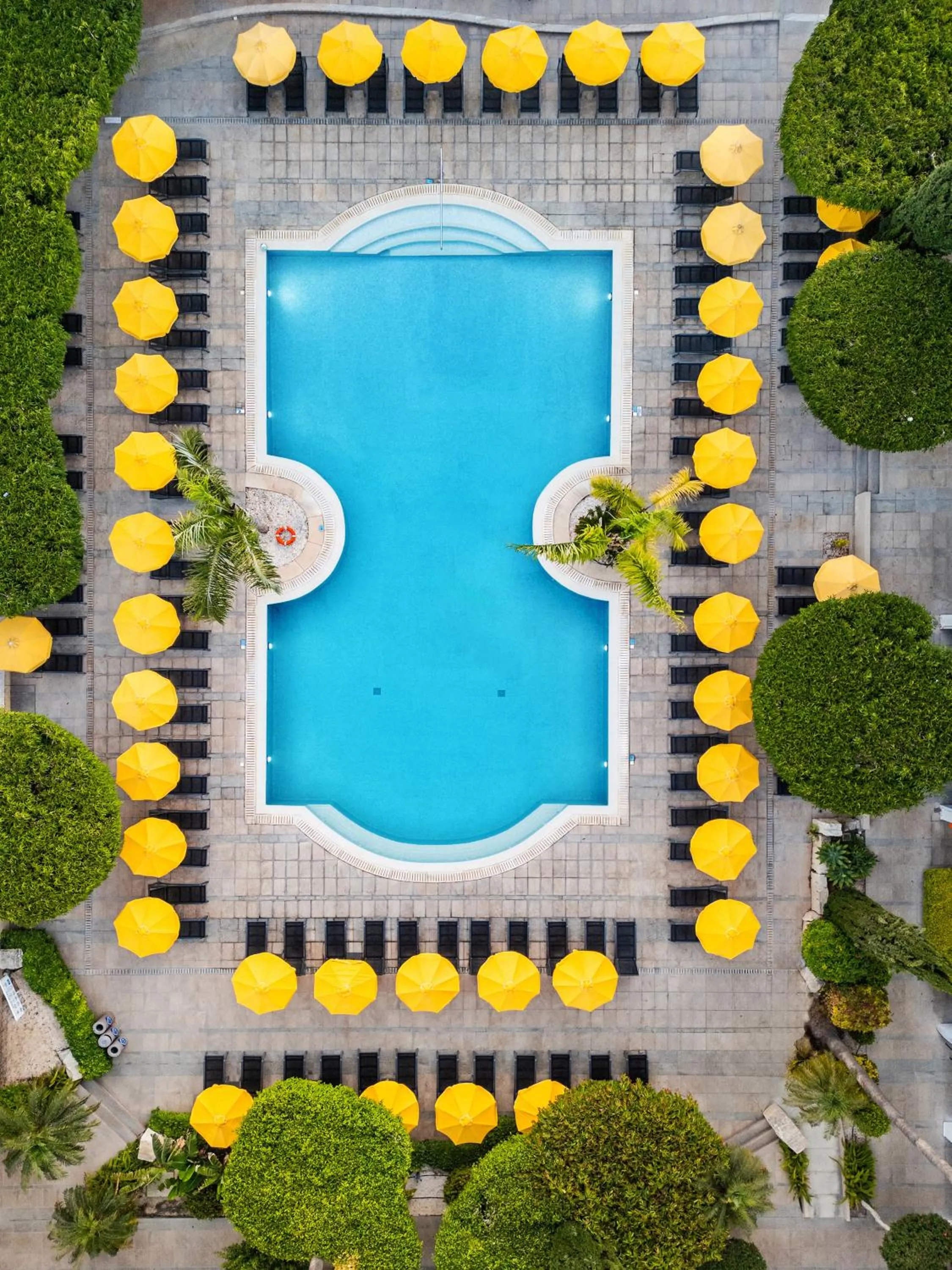 Swimming pool in Mayfair Hotel