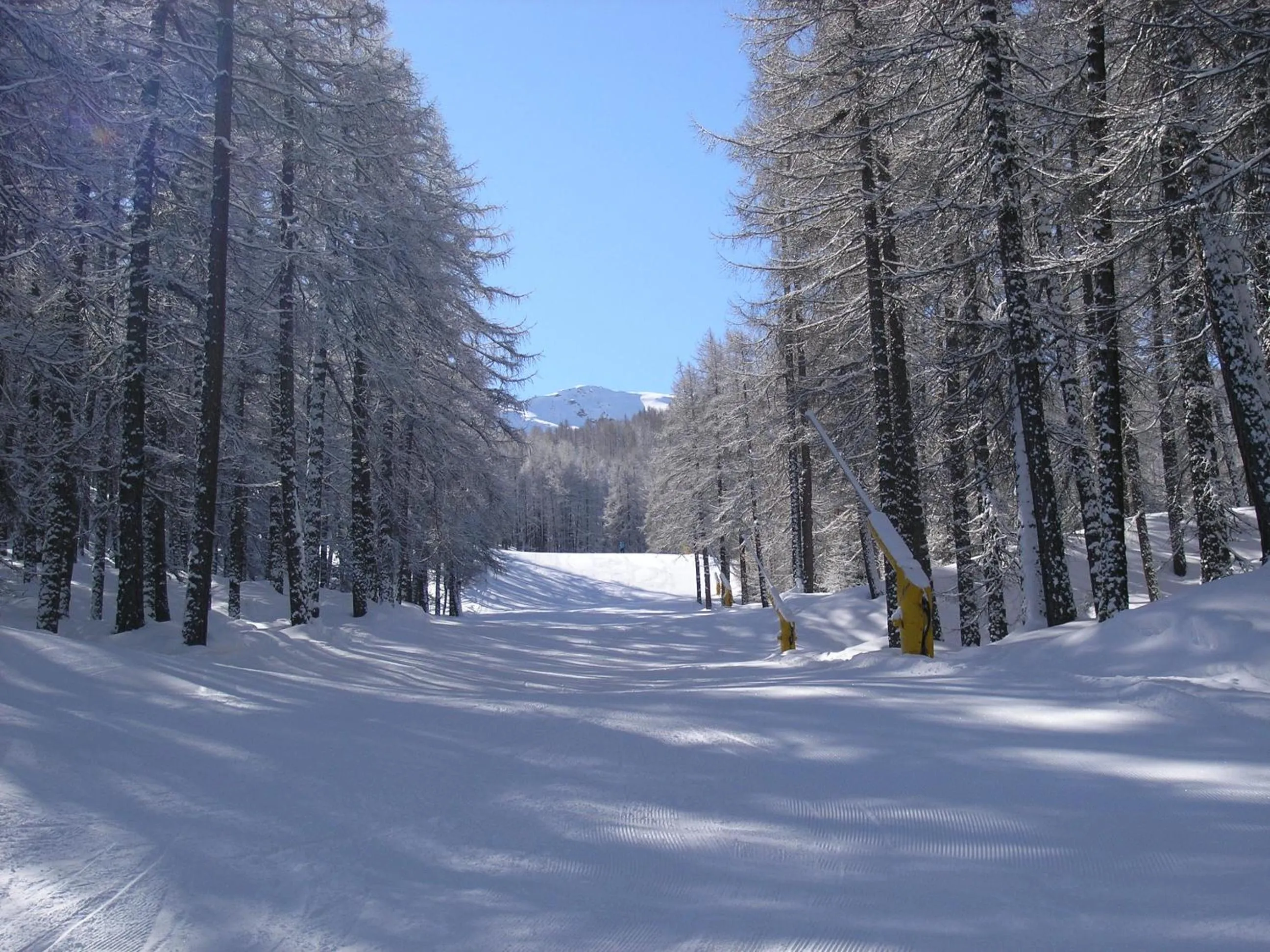 Skiing in Hotel Martin