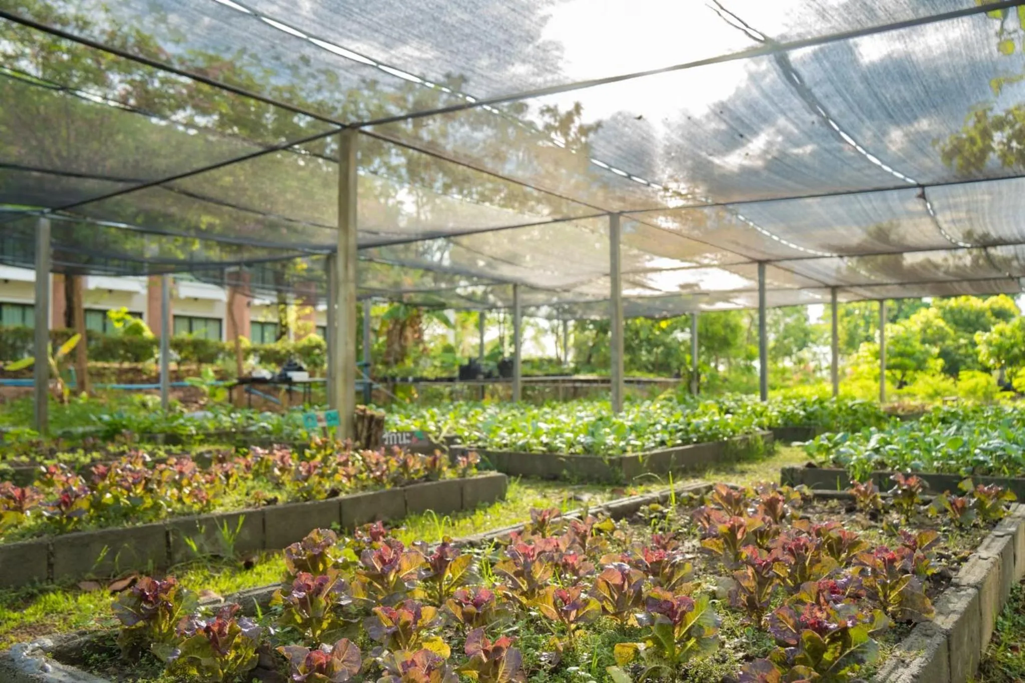 Garden in Sukhothai Treasure Resort & Spa