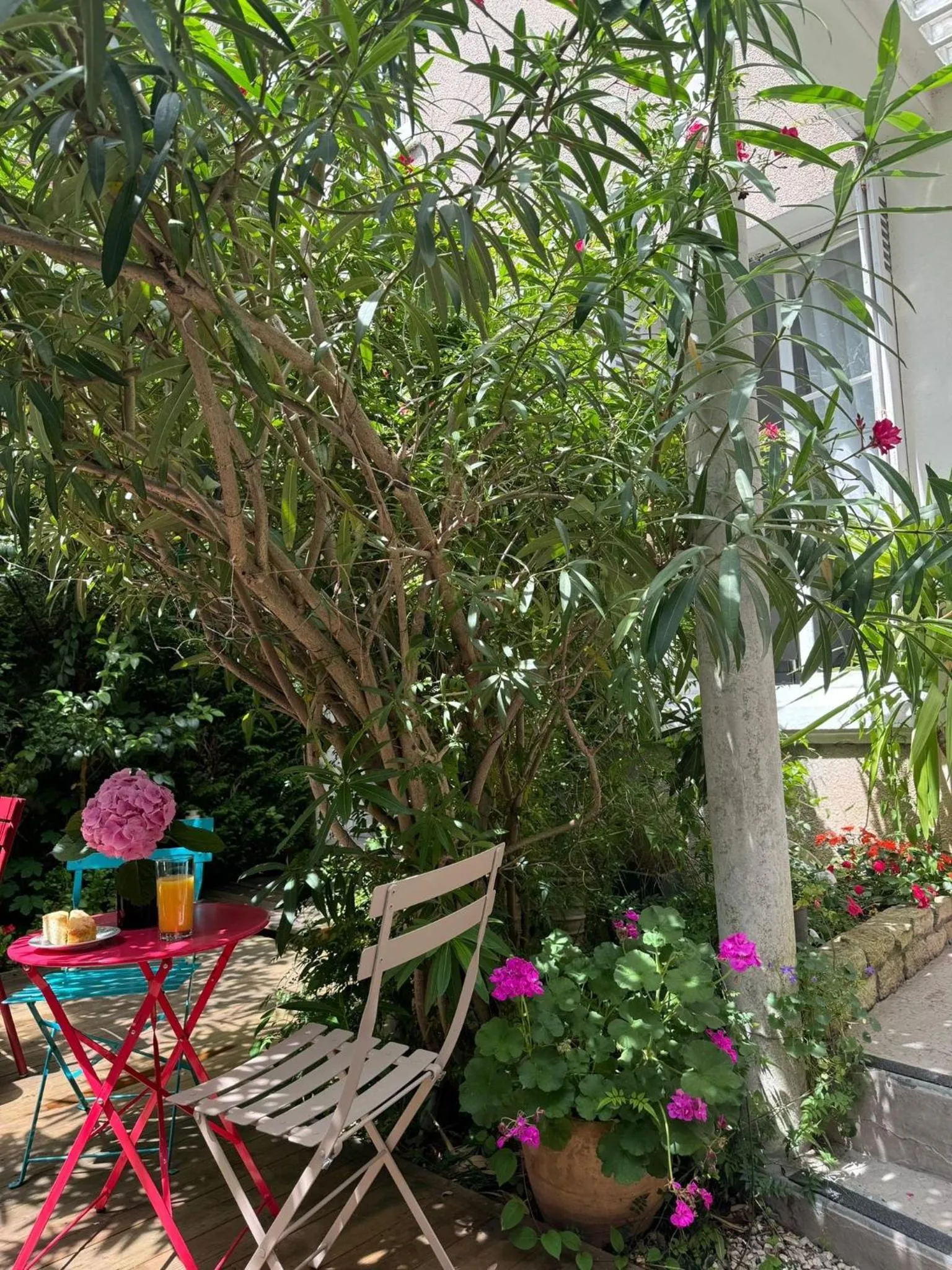 Patio in Hotel Mirabeau