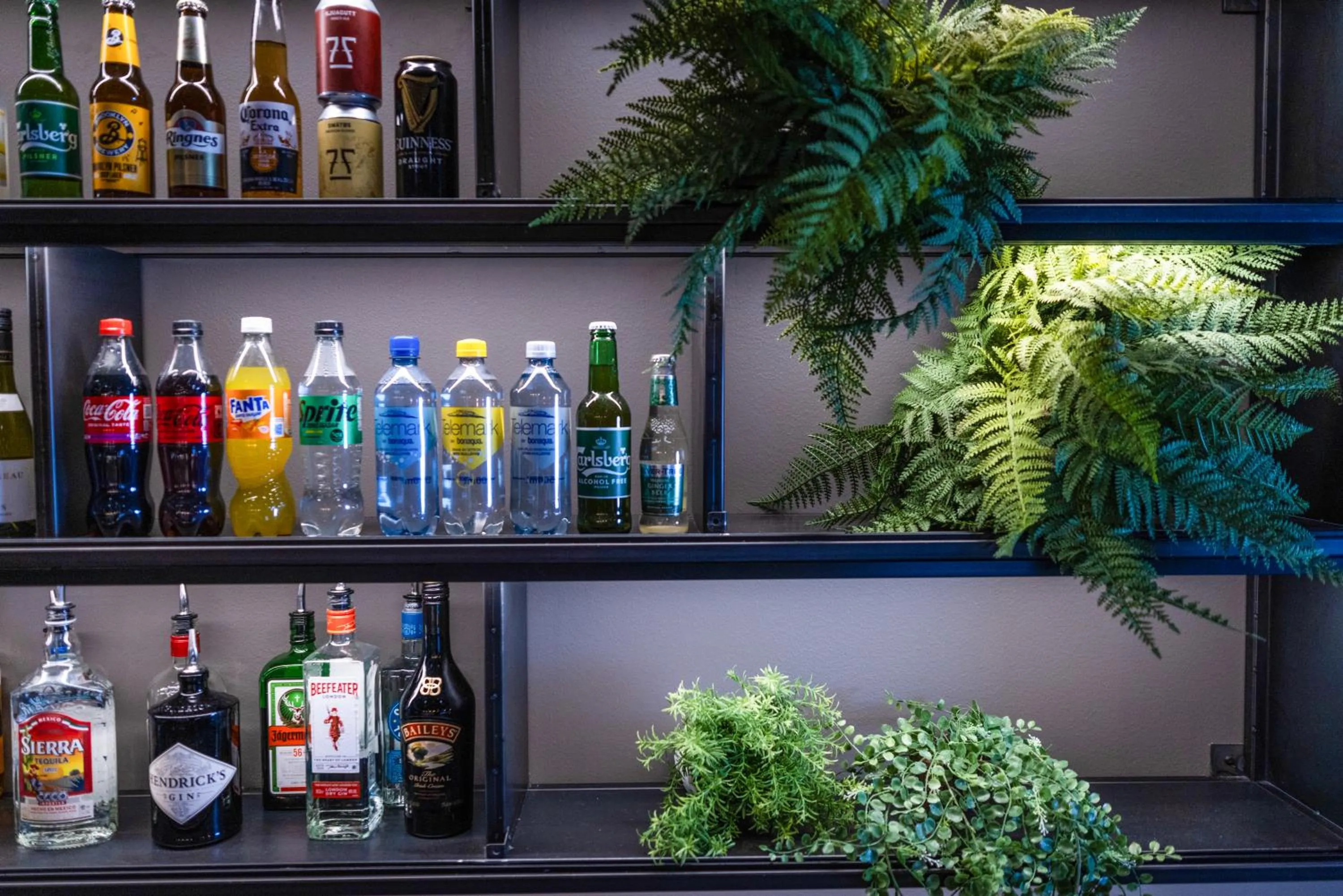 Food and drinks in Comfort Hotel Bergen