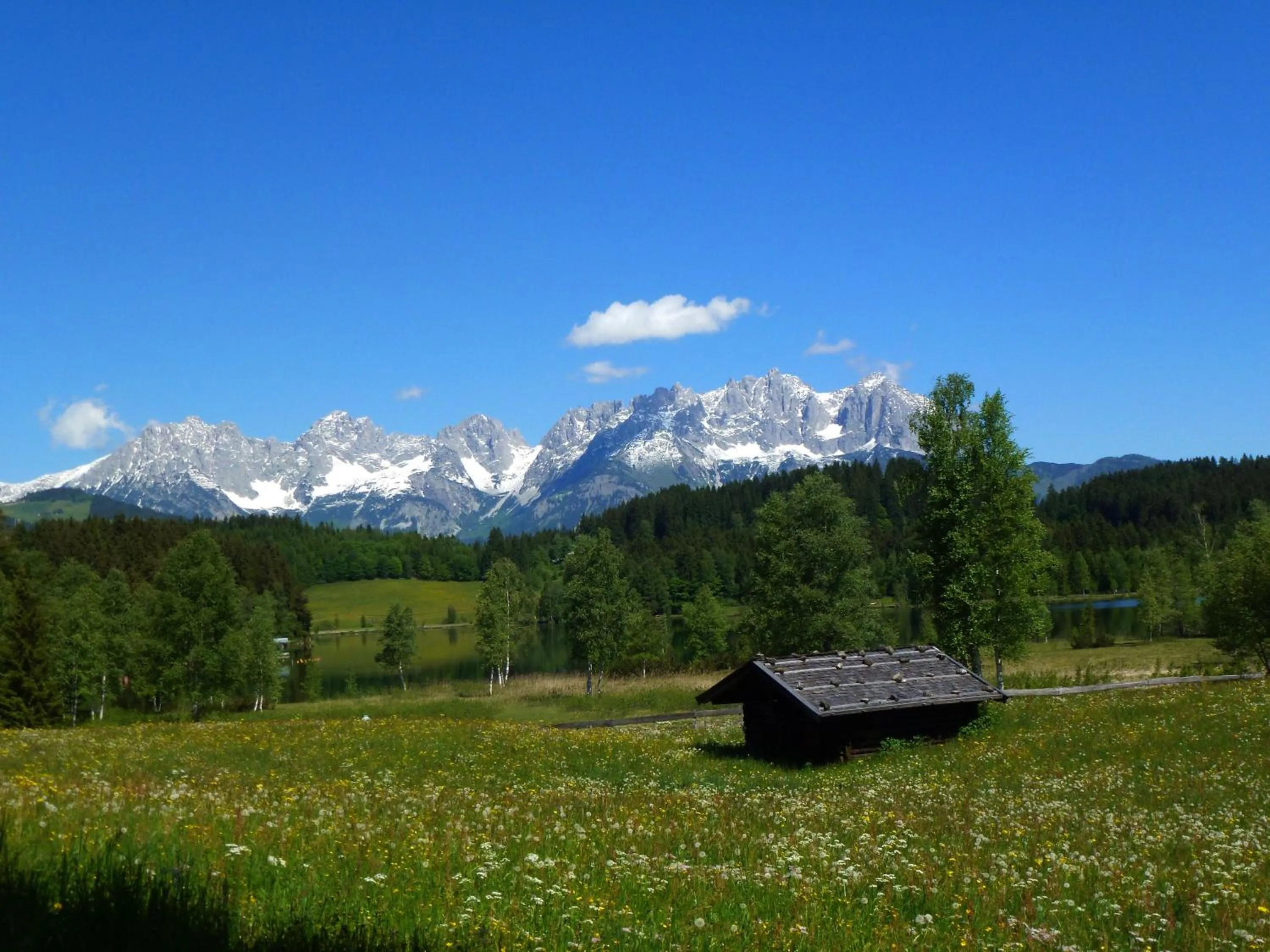 Area and facilities in Alpen Glück Hotel Kirchberger Hof