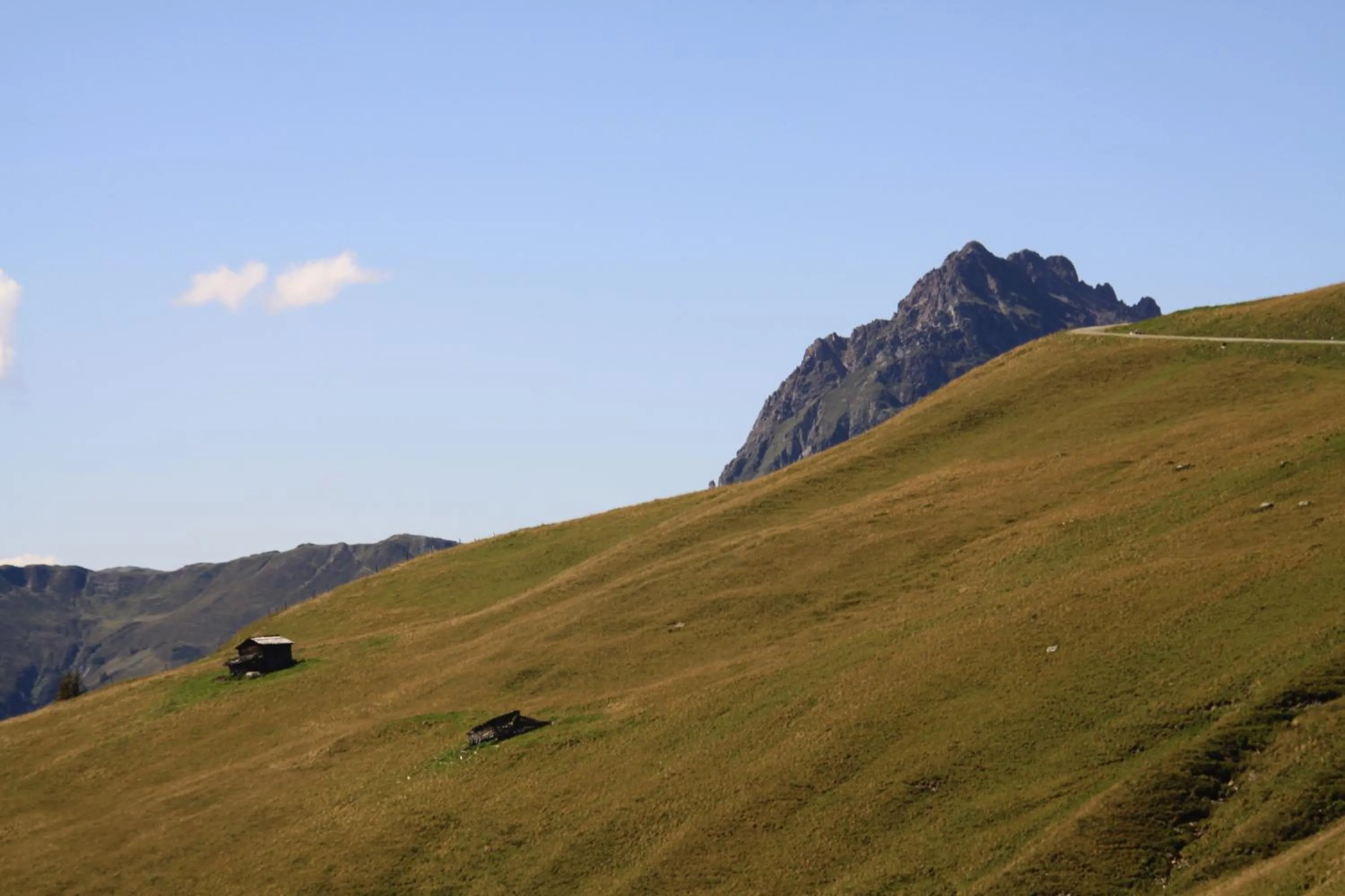Area and facilities in Alpen Glück Hotel Kirchberger Hof