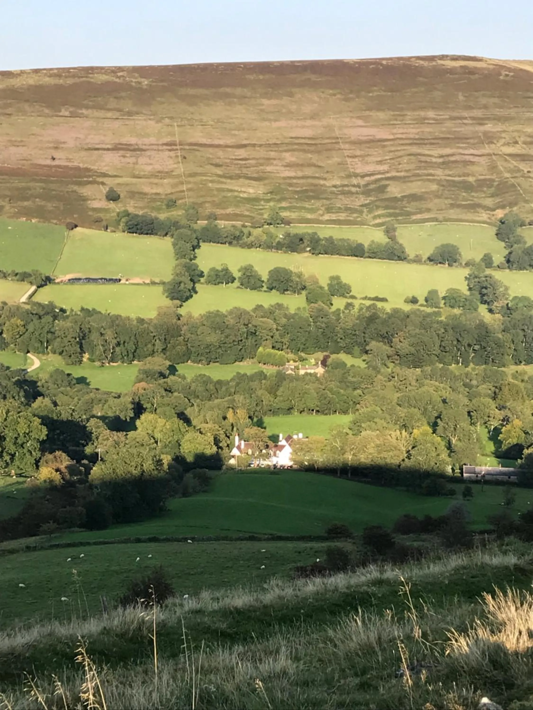 Bird's eye view in Losehill House Hotel & Spa