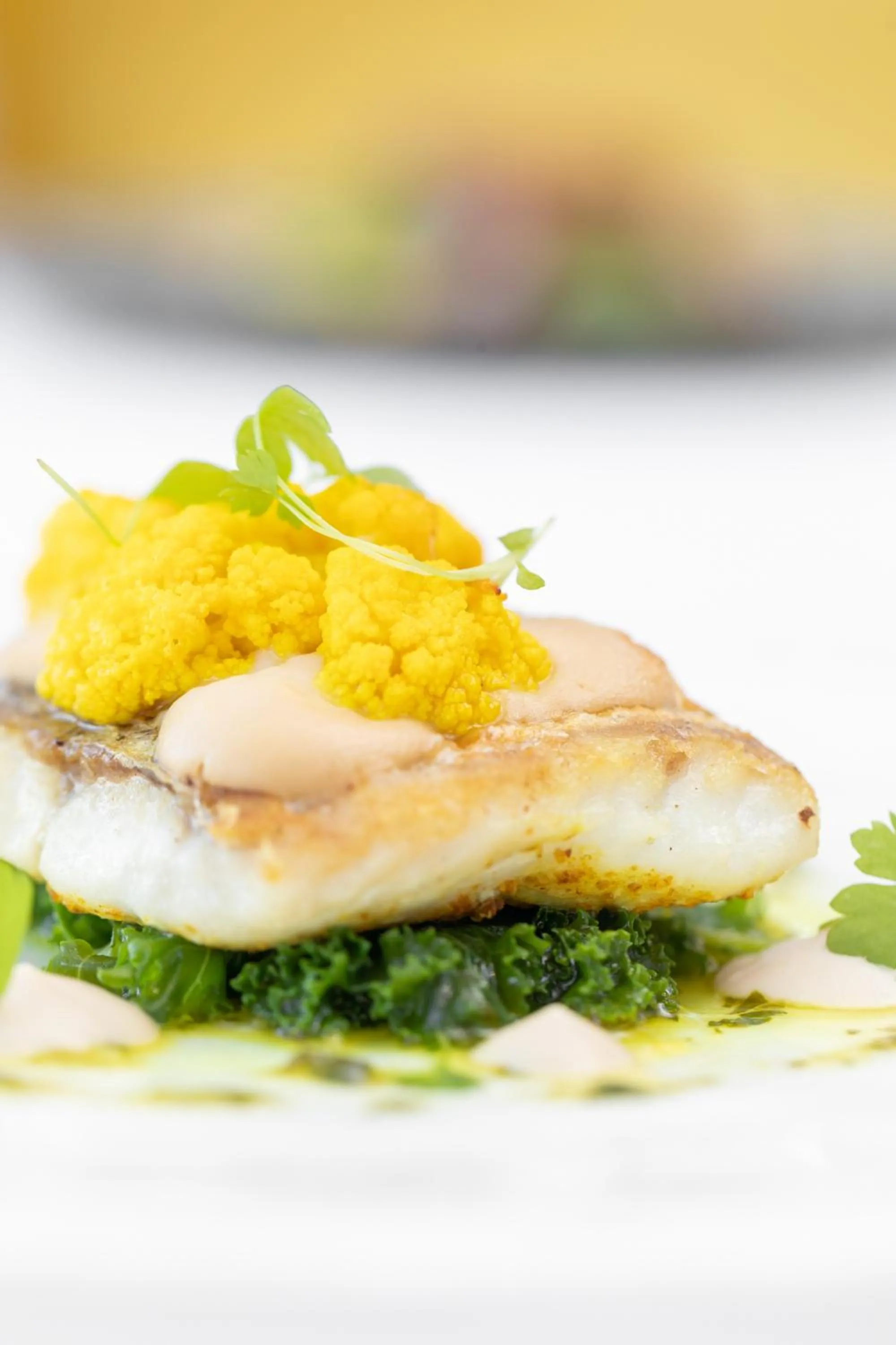 Food and drinks in Losehill House Hotel & Spa