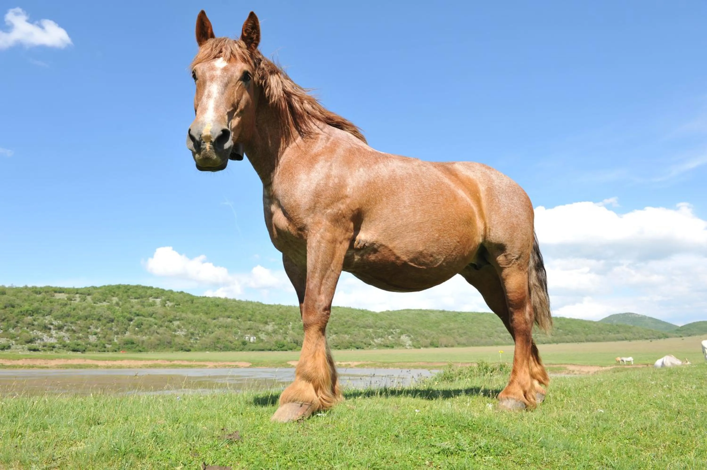 Area and facilities in Robur Marsorum Albergo Diffuso