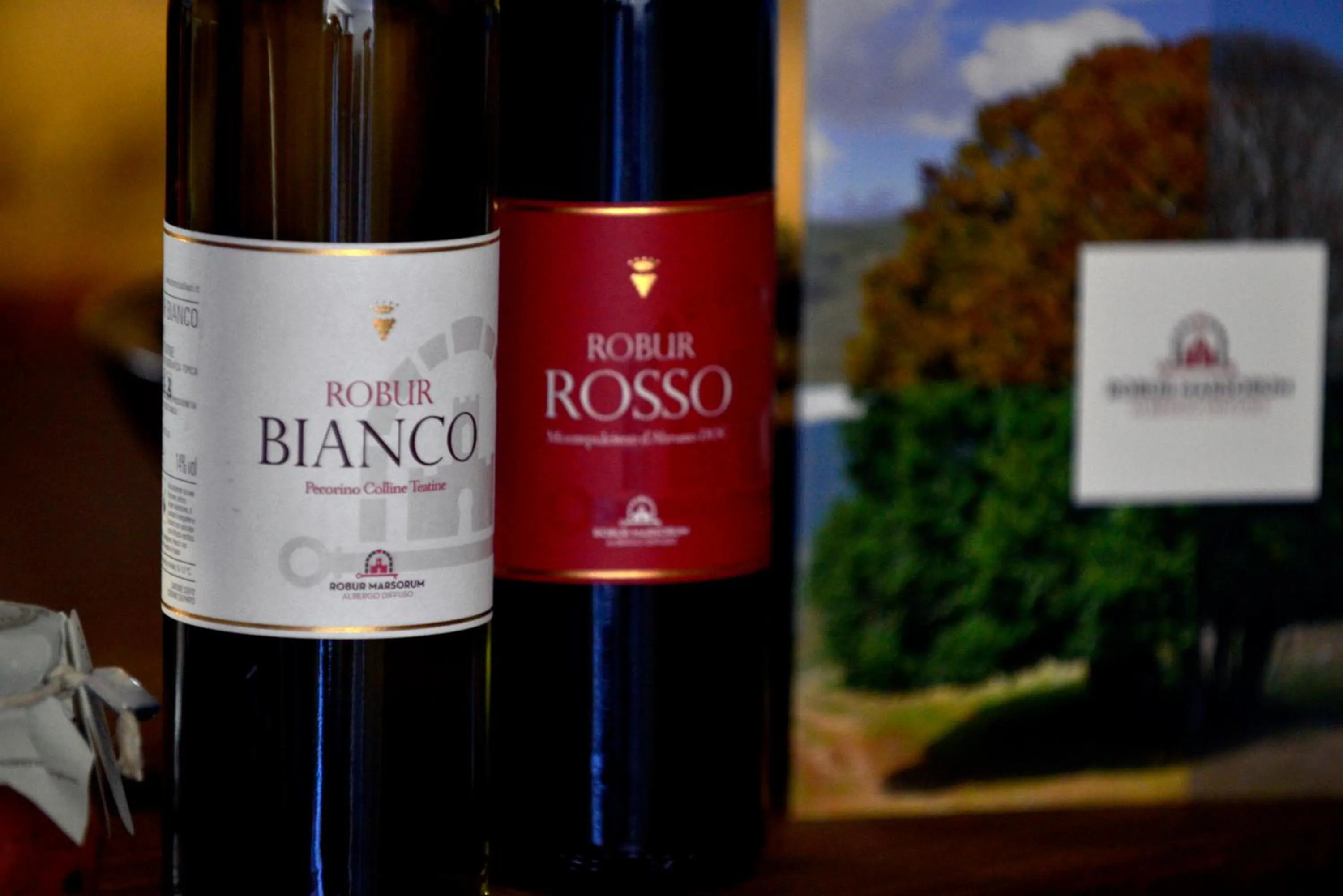 Decorative detail in Robur Marsorum Albergo Diffuso