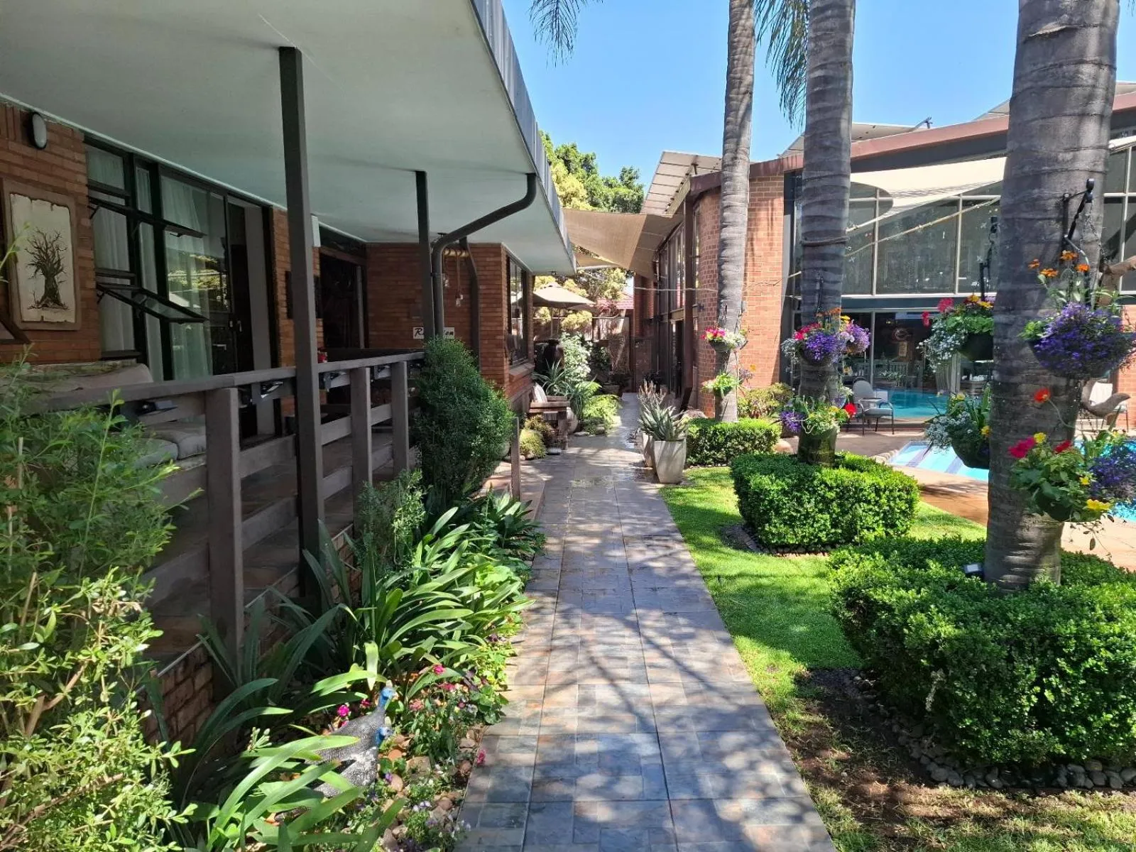 Garden in Sunrock Guesthouse