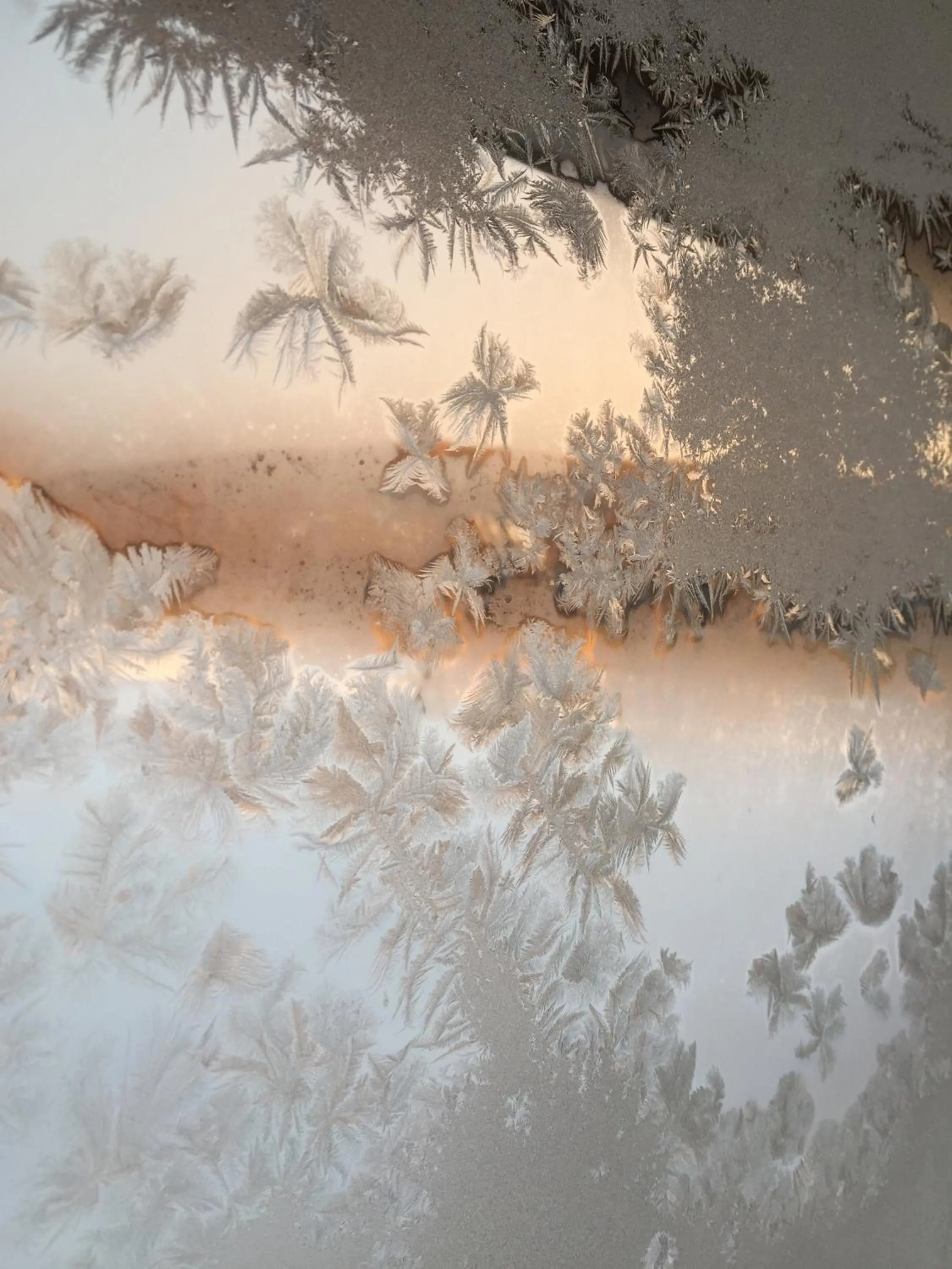 Natural landscape in Niseko Guesthouse Nalu.