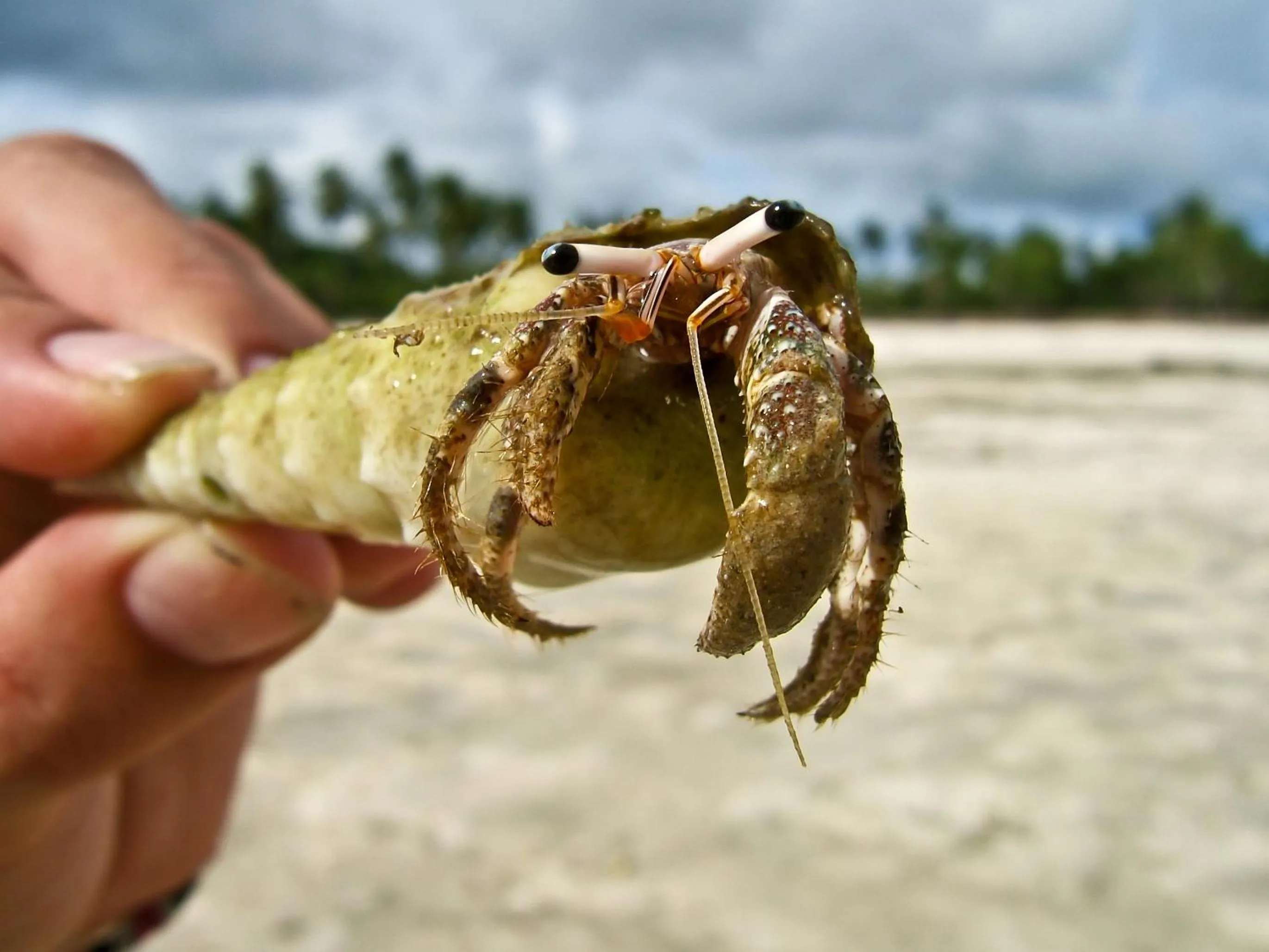 Decorative detail in Boa Hill Surf House