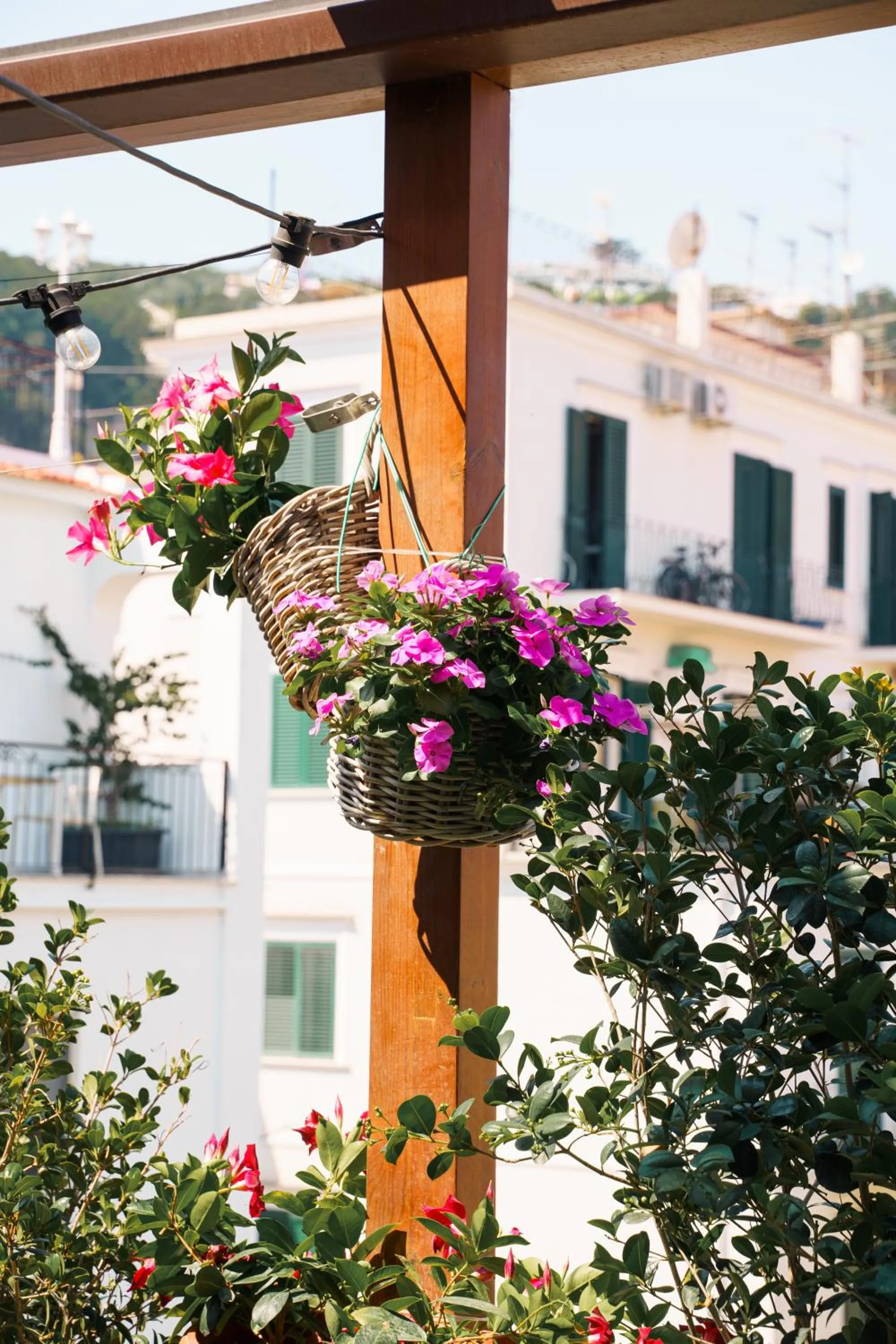 Balcony/Terrace in Accademia 39
